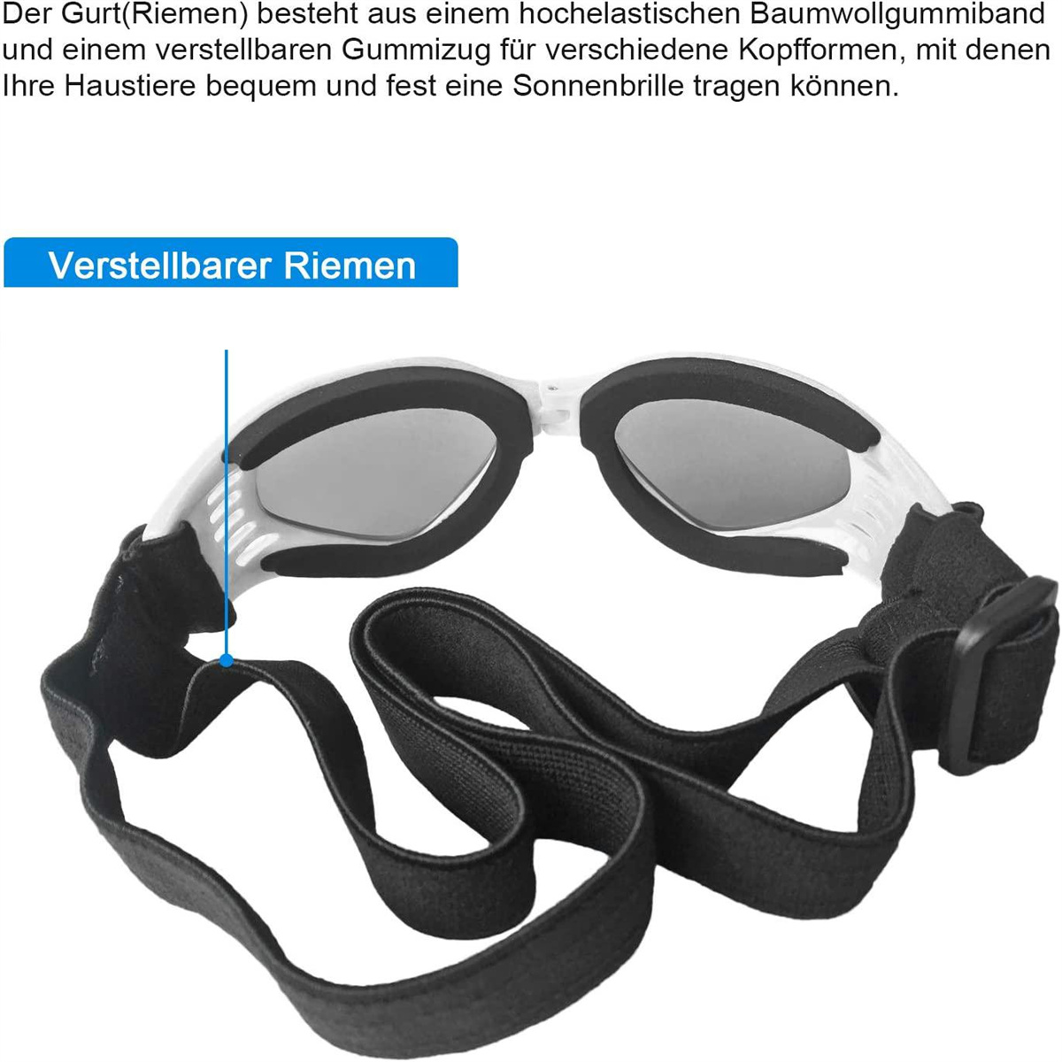 Weiße und graue Hundegläser mit schwarzen Riemen, Nahaufnahme.