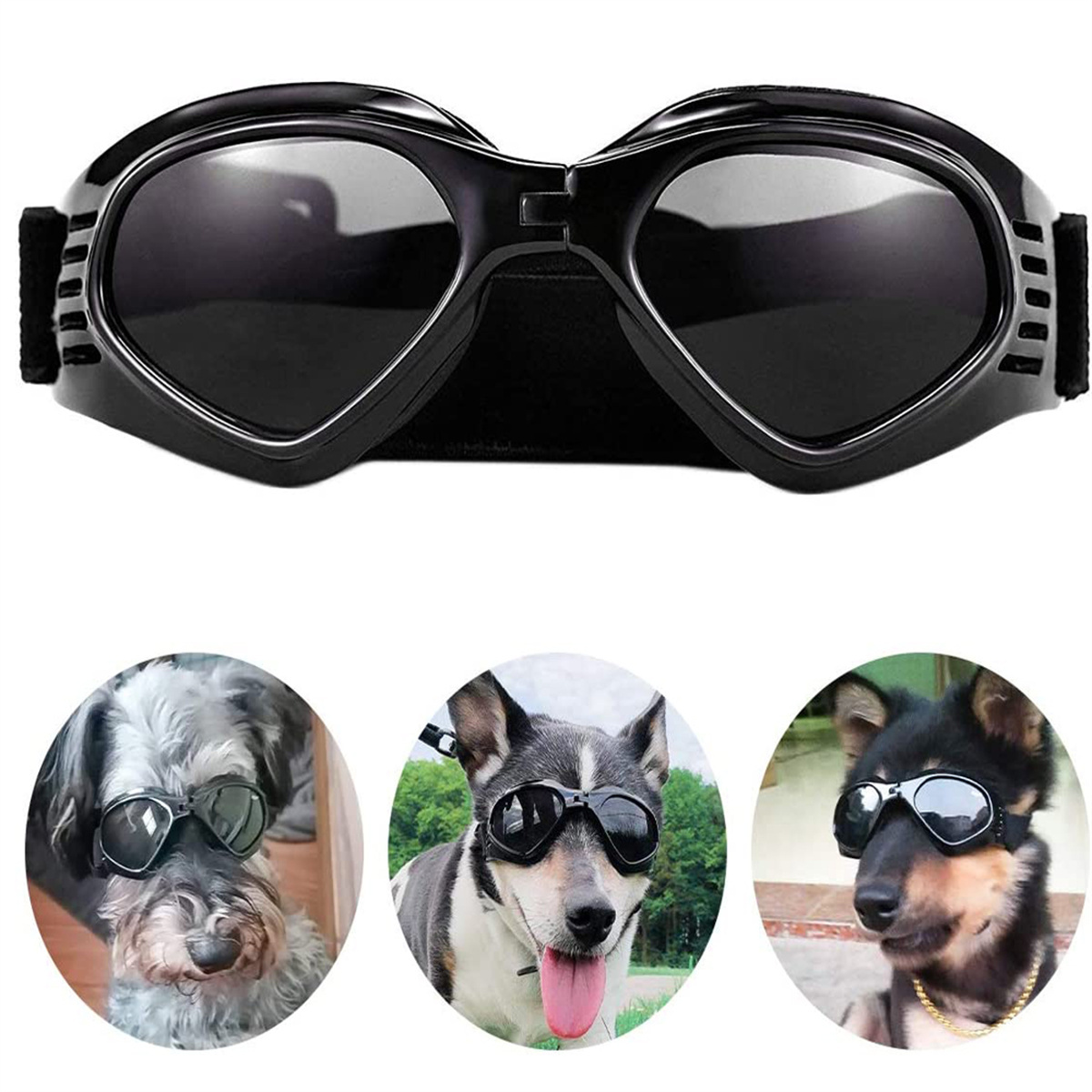 Hundegläser und Hunde, die sie tragen. Schwarze Gläser, Hunde verschiedener Rassen.