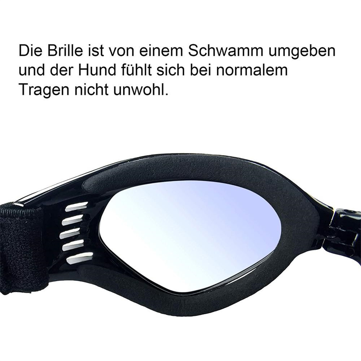 Nahaufnahme einer Hundebrille mit Schwamm um den Rahmen, schwarz-weißer Hintergrund.