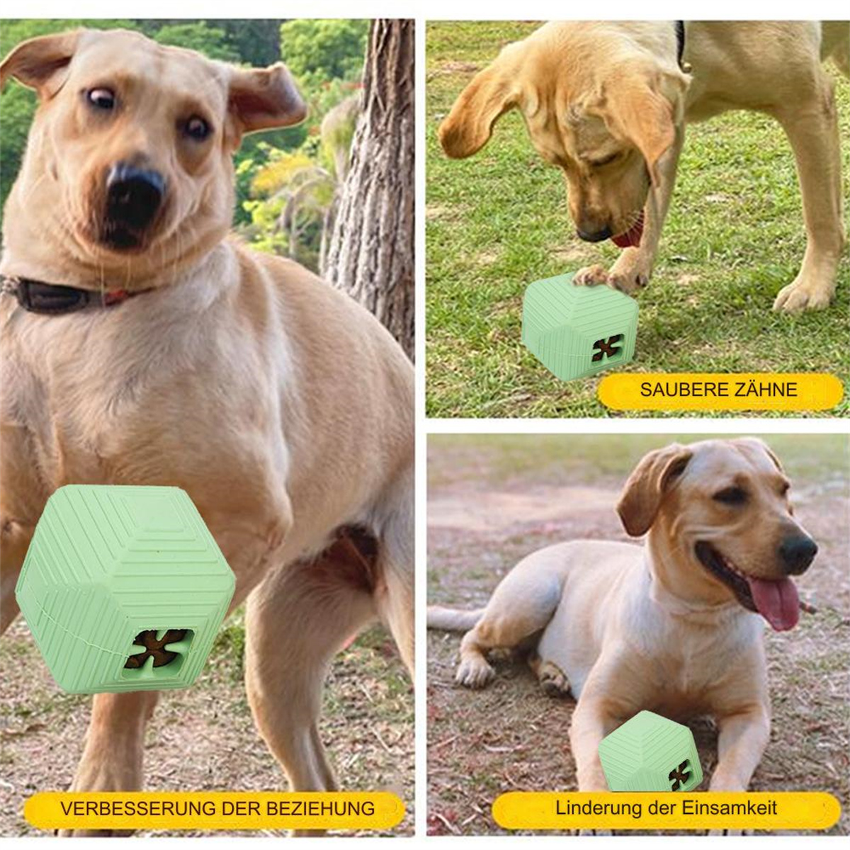 Hunde mit grünem Spielzeug. Text über die Vorteile des Spielzeugs.