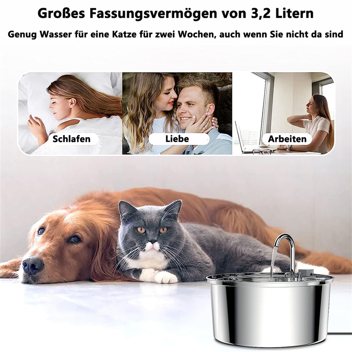 Ein Wasserbrunnen mit Katze und Hund vor Bildern von Menschen.