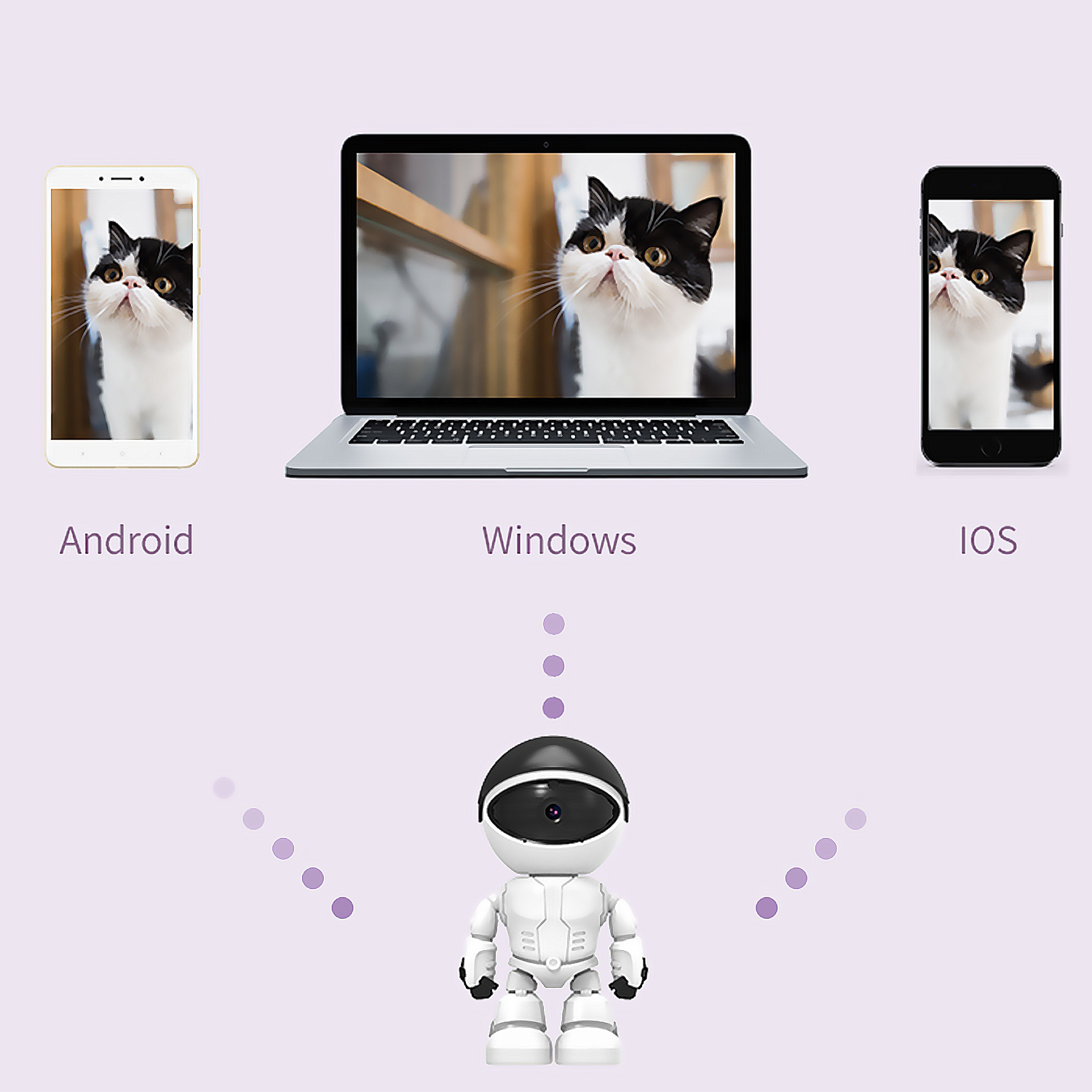 Katze auf mehreren Geräten. Auf Telefon, Laptop und Roboter angezeigt.