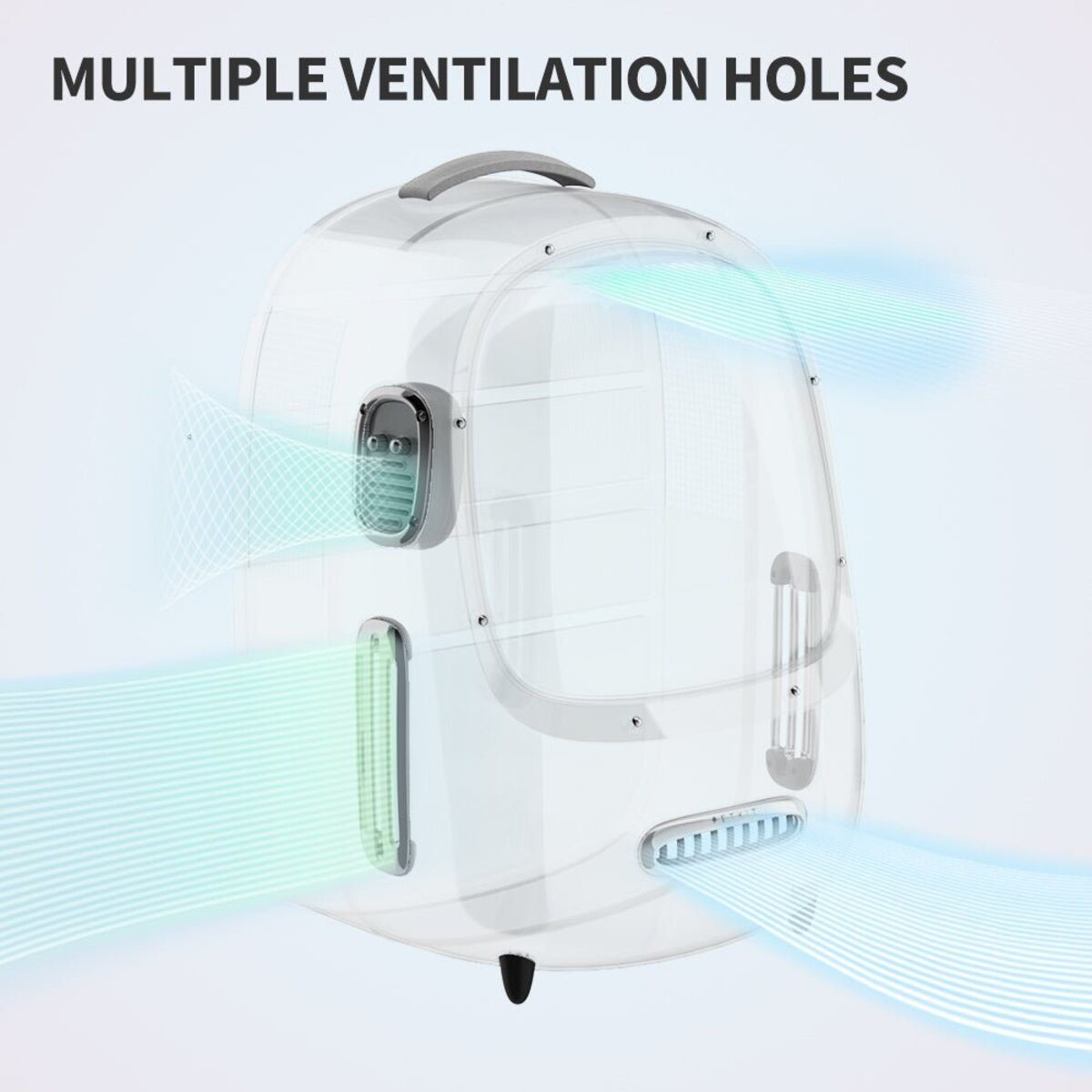 Przezroczysty transporter dla zwierząt z wieloma otworami wentylacyjnymi. Widoczne niebieskie linie.