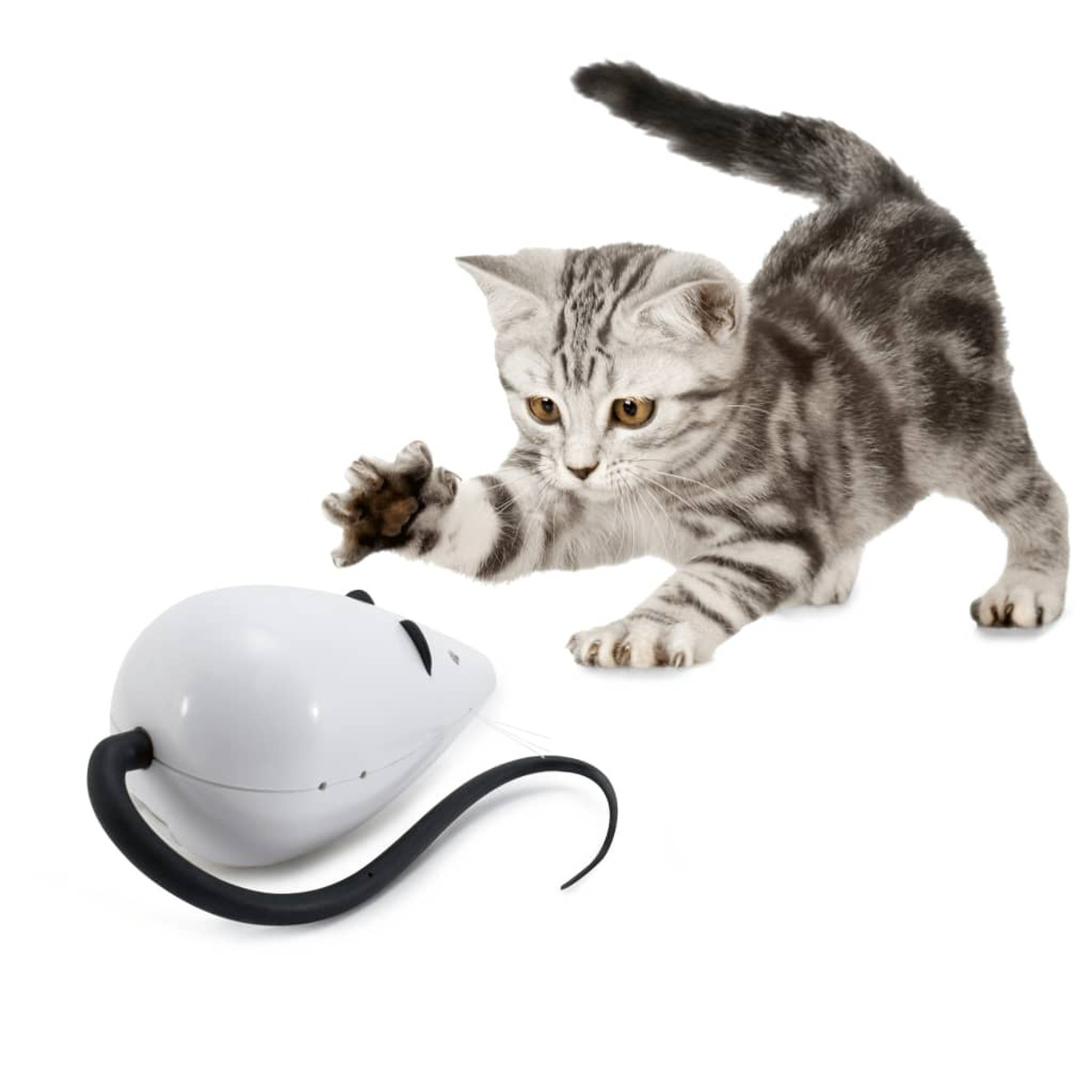 Eine graue Katze greift nach einer weißen Spielzeugmaus. Die Katze ist grau mit schwarzen Streifen, das Spielzeug weiß.