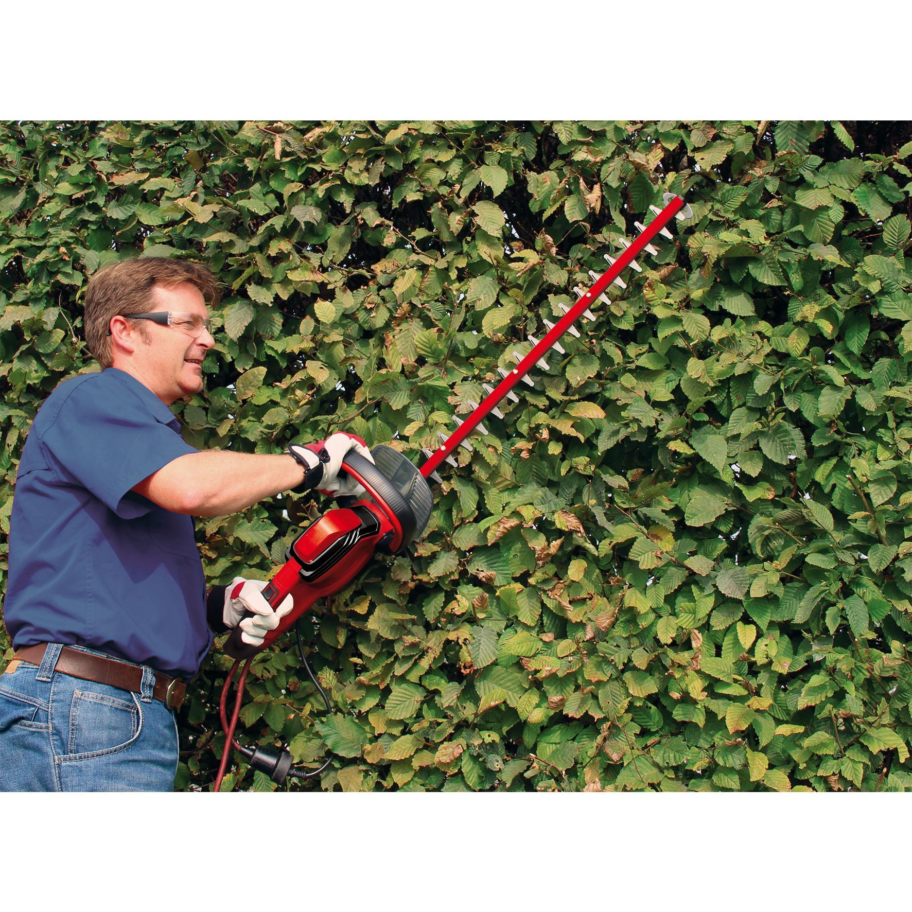 Ein Mann benutzt eine rote Heckenschere an einer grünen Hecke. Er trägt eine Brille, Handschuhe und Jeans.