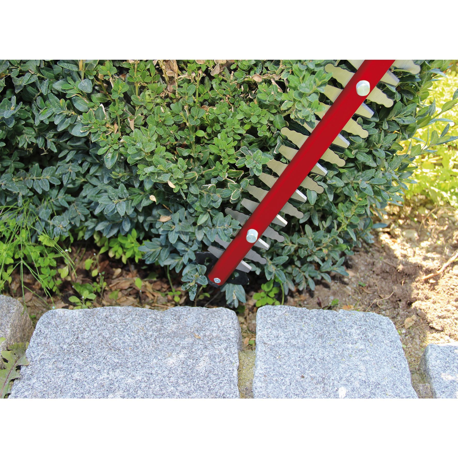 Roter Heckenschneider schneidet eine grüne Hecke. Graue Steinplatten im Vordergrund.