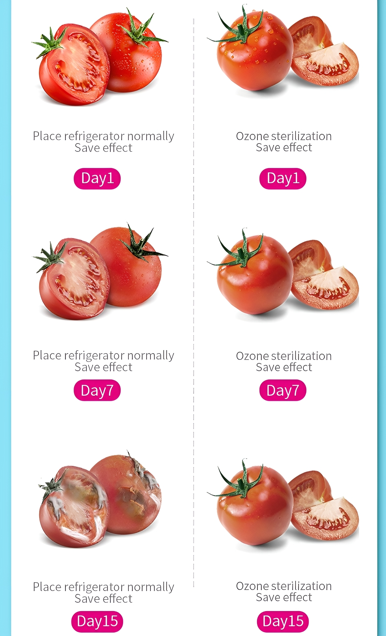Tomaten, geschnitten und ganz, Konservierungsmethoden. Ergebnisse nach Tag 1, 7 und 15.