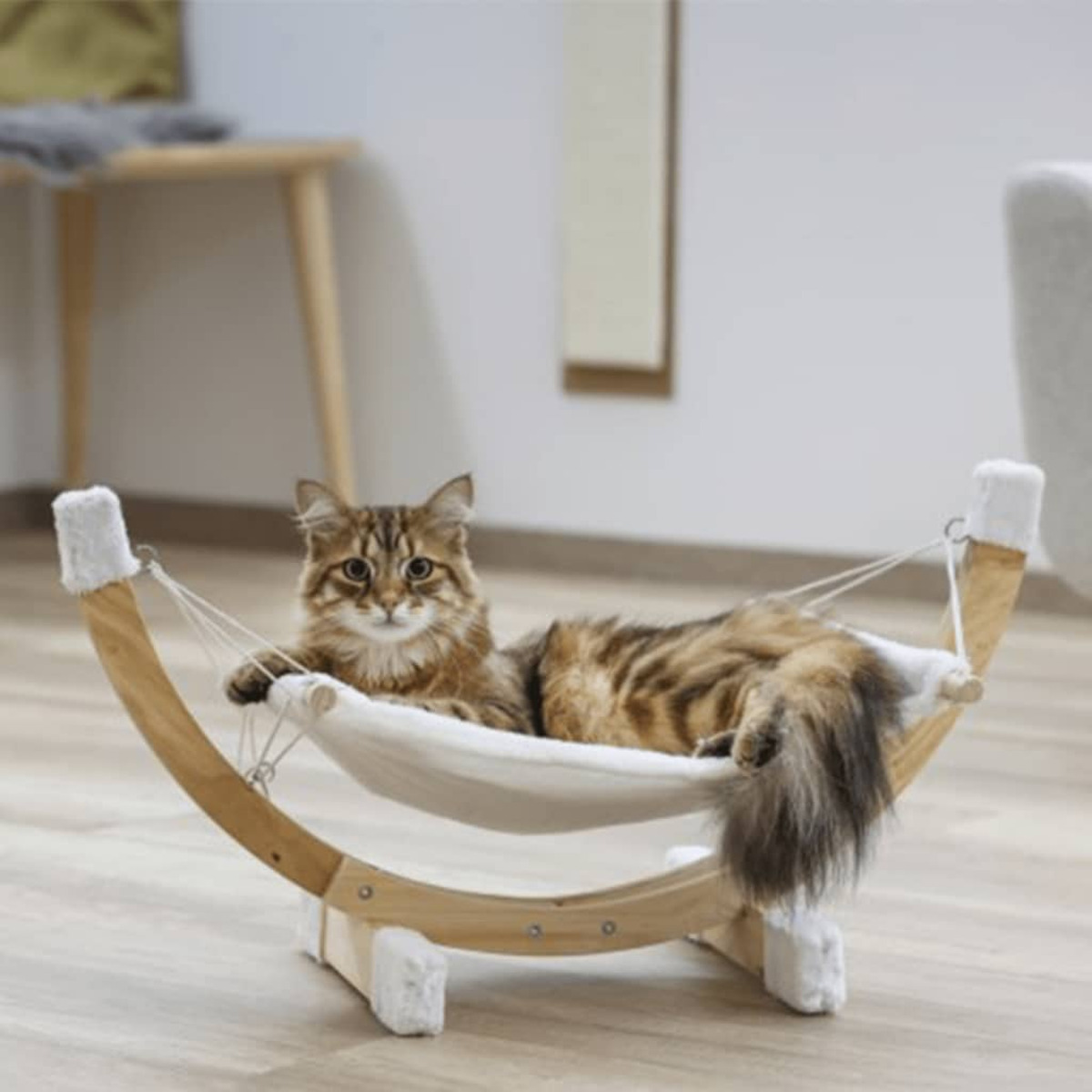Gato en una hamaca. El gato es marrón y rayado, descansando en una hamaca blanca.