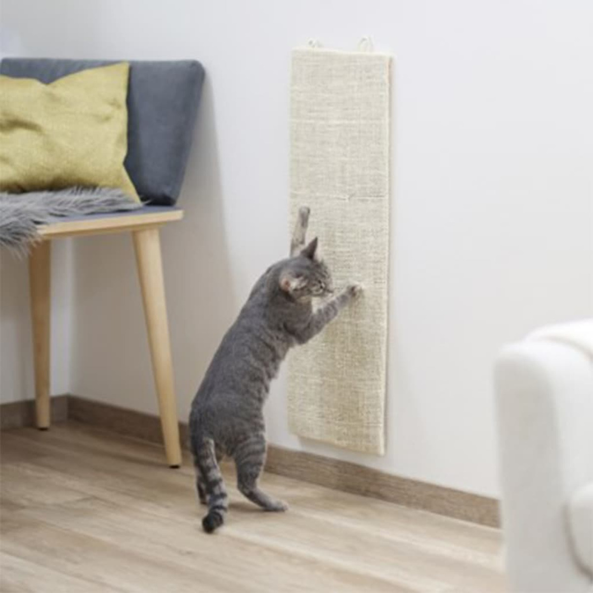 Gatto che si gratta su un tiragraffi a parete.