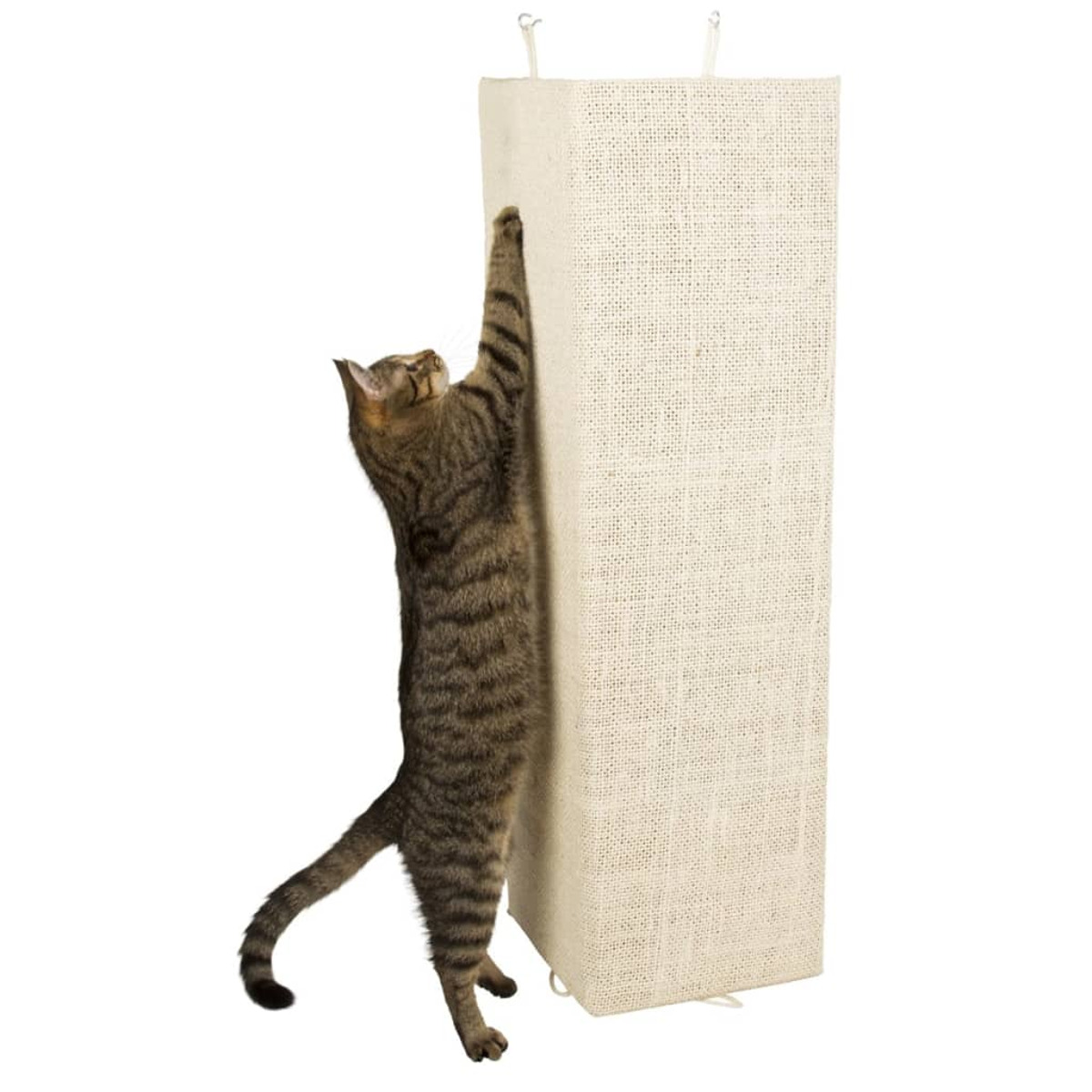 Un tiragraffi per gatti. Un gatto sta graffiando il lato del palo. Sfondo bianco.