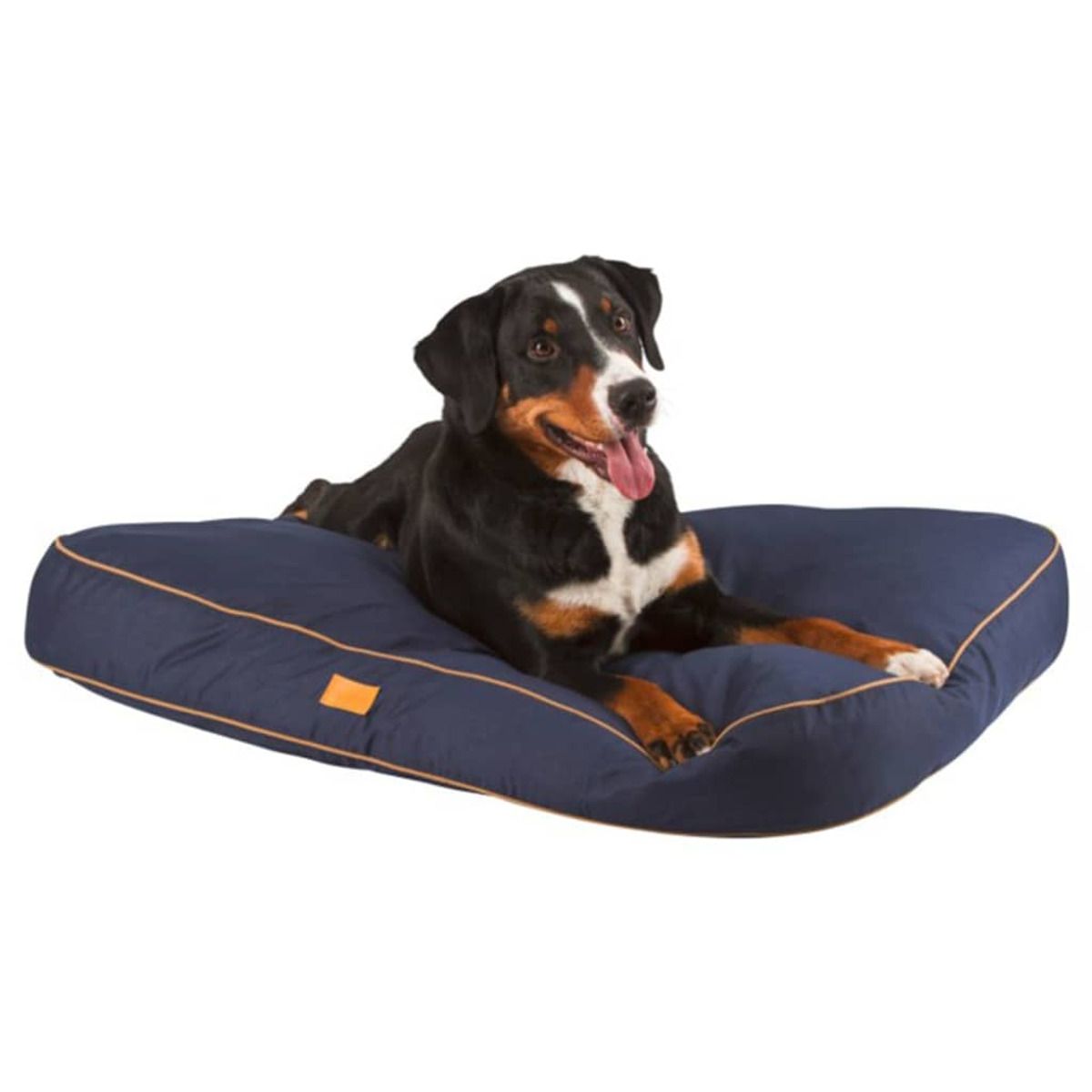 Cane sdraiato su una cuccia blu navy con finiture arancioni. Il cane è nero, bianco e marrone.