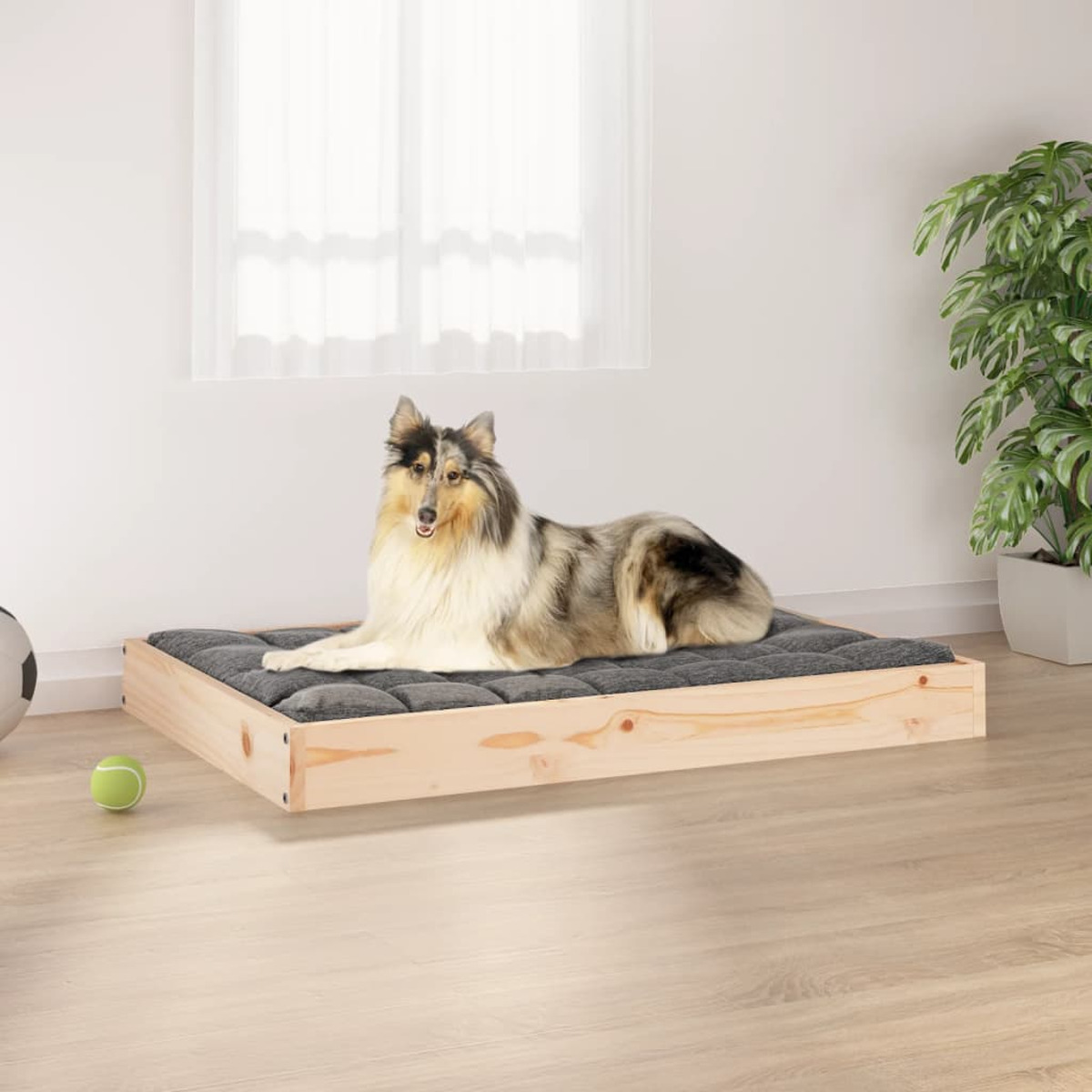 Hund auf einem Holzbett mit grauem Kissen. Ein Ball und ein Fenster.