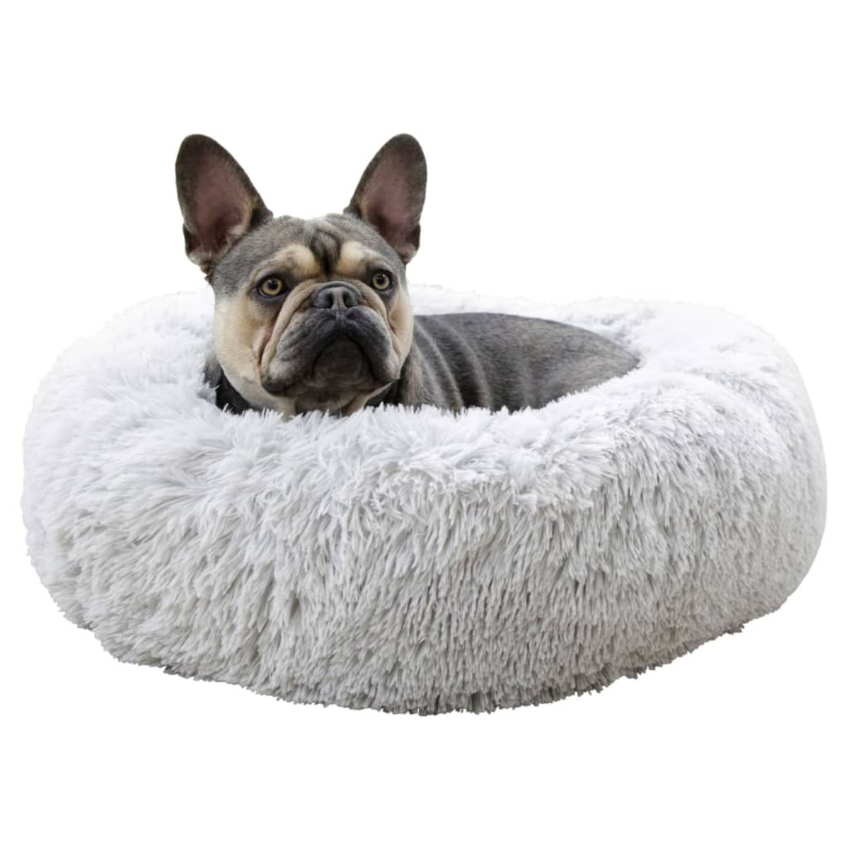 Französische Bulldogge in einem flauschigen Bett. Das Bett ist weiß, der Hund grau und braun.