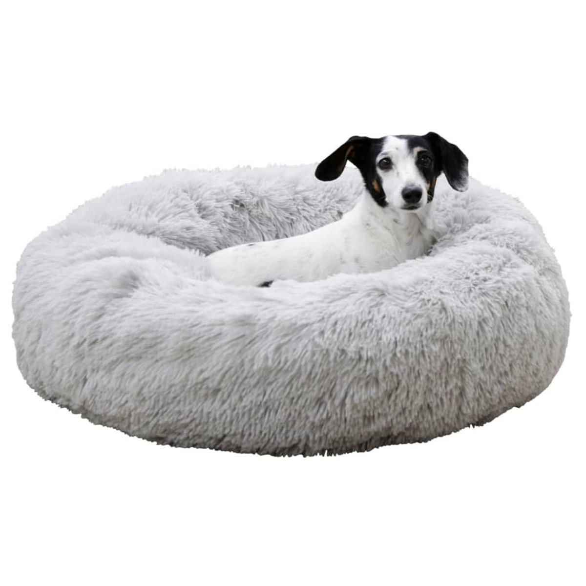 Kleiner Hund in einem grauen, flauschigen Donut-Bett. Der Hund ist weiß mit schwarzen Flecken.