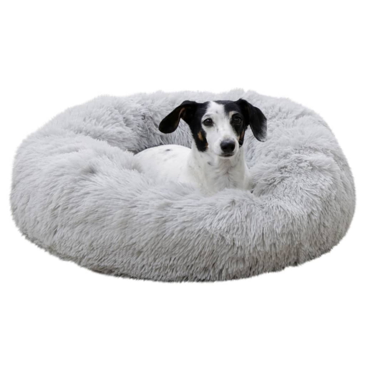 Ein kleiner Hund liegt in einem flauschigen, hellgrauen, runden Hundebett.