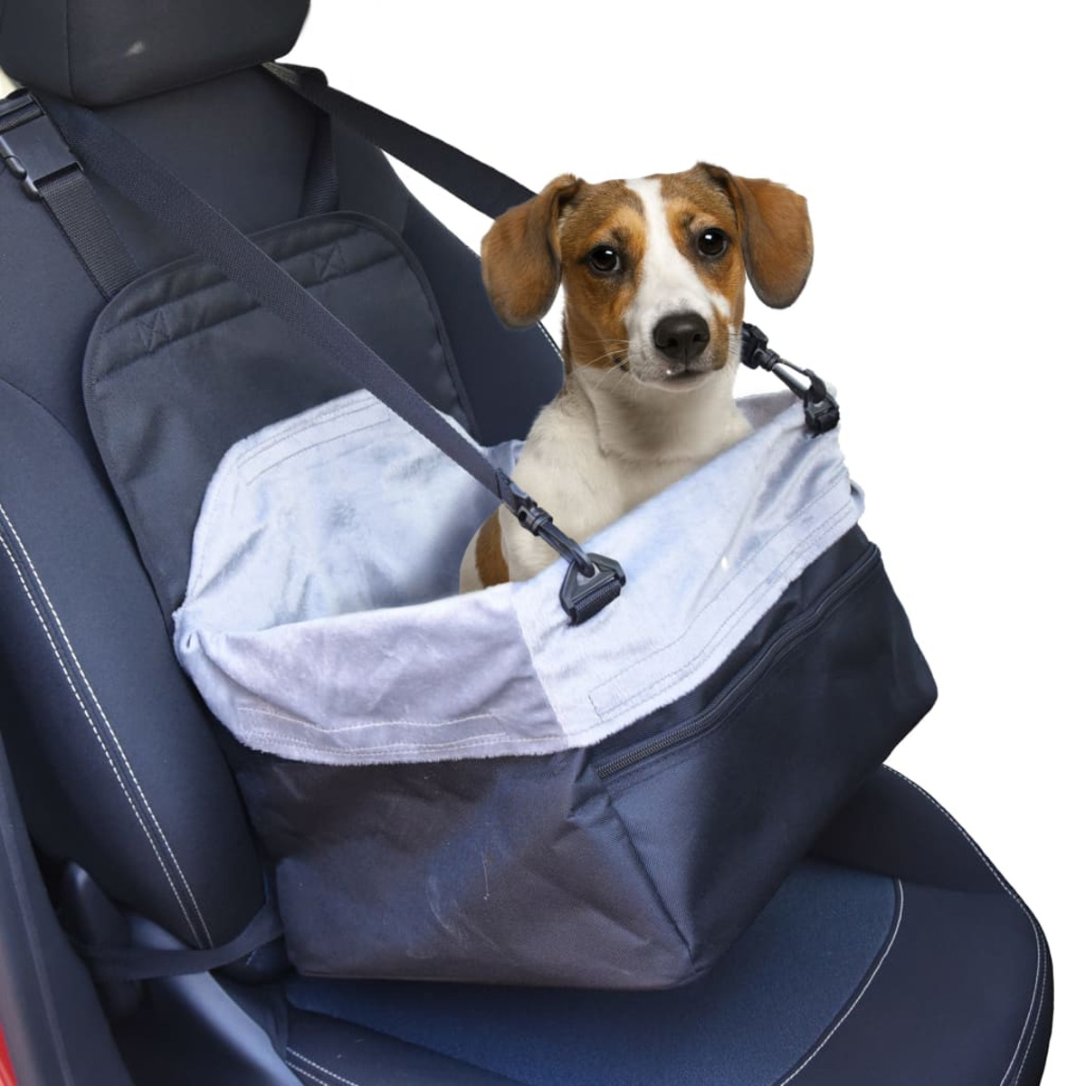 Ein Hund in einem Autositz. Der Hund ist klein und braun und weiß, blickt in die Kamera.