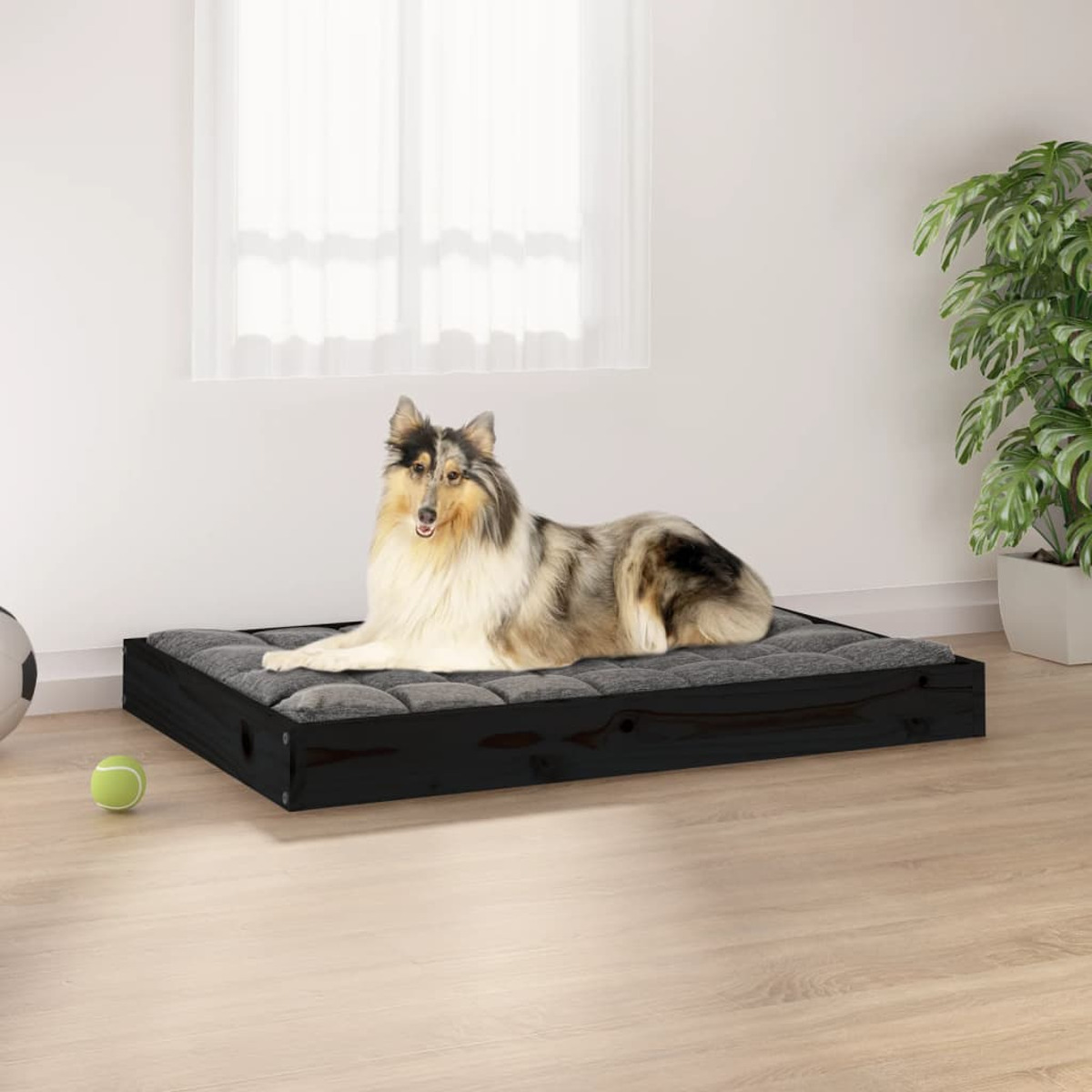 Hund auf einem Bett mit schwarzem Rahmen, grauem Kissen und einem Tennisball in der Nähe.