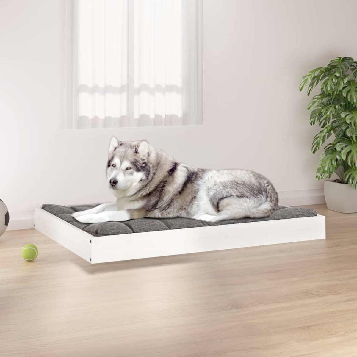Hund auf einem weißen Bett. Grüner Ball auf dem Boden. Weißer Wandhintergrund.
