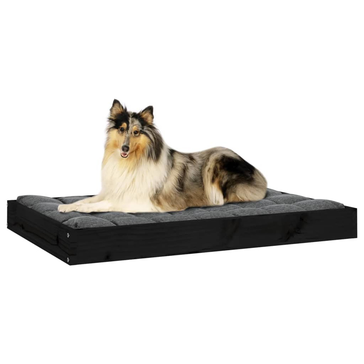 Ein Hund liegt auf einem schwarzen Bettrahmen mit einem grauen Kissen, vor weißem Hintergrund.