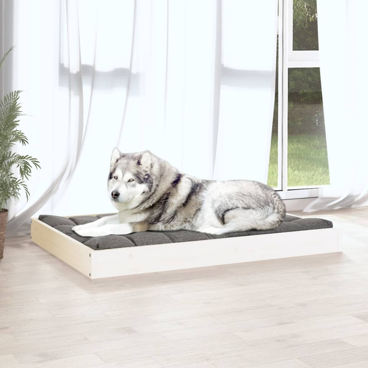 Ein Hundebett mit grauem Kissen. Ein Husky-Hund liegt darauf, mit Holzrahmen. Weißes Fenster im HG.