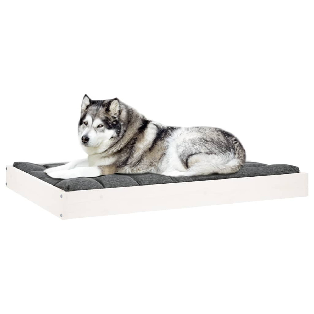 Ein Hund liegt auf einem grauen Kissenbett. Das Bett hat einen weißen Holzrahmen.