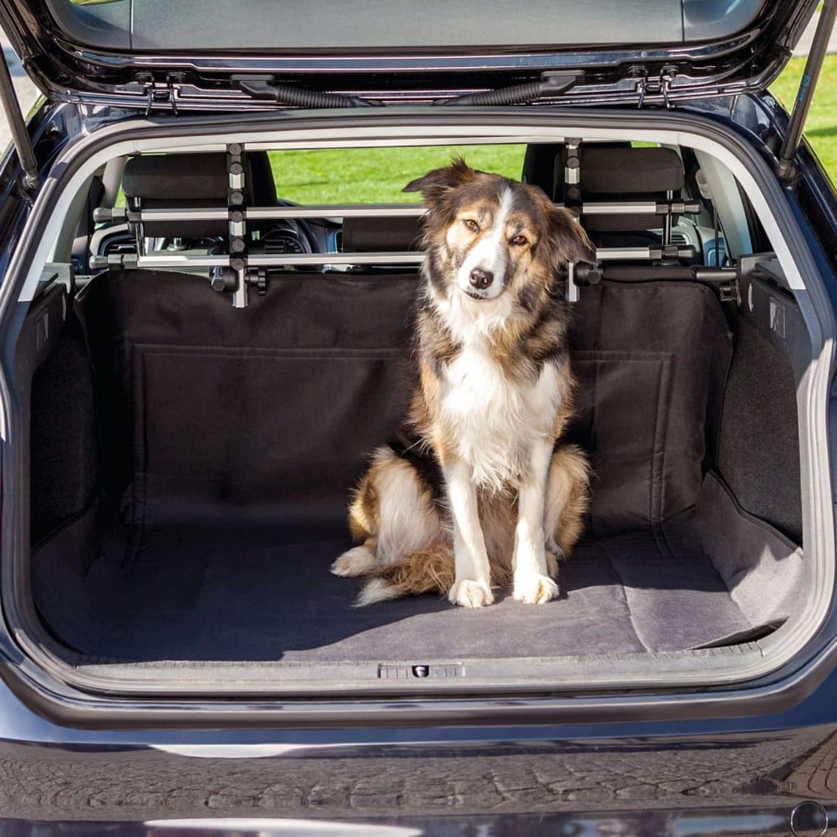 Hund in einem Kofferraum mit Schutzbezug. Der Kofferraum ist geöffnet.