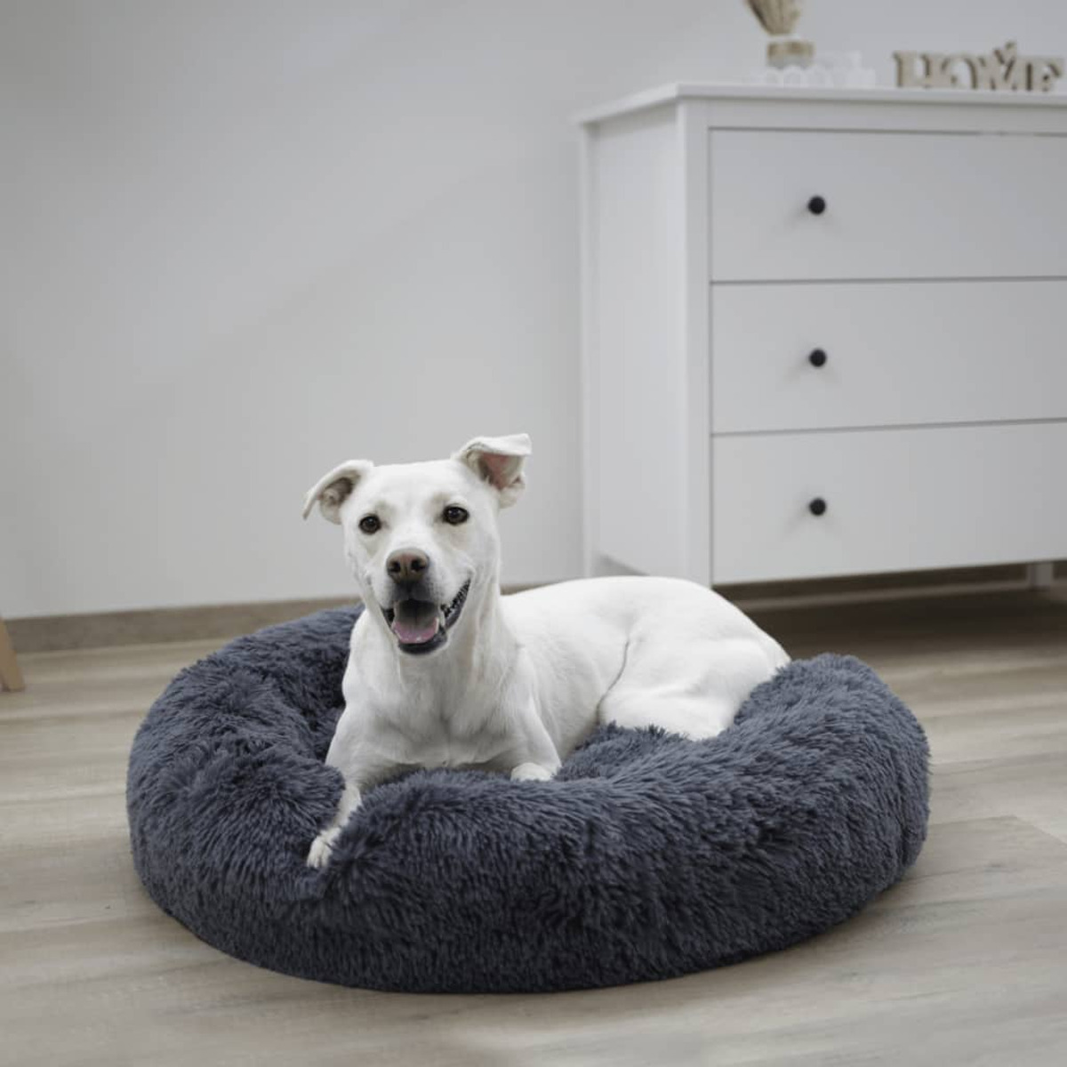 Weißer Hund liegt in einem grauen, flauschigen Bett in Innenräumen.
