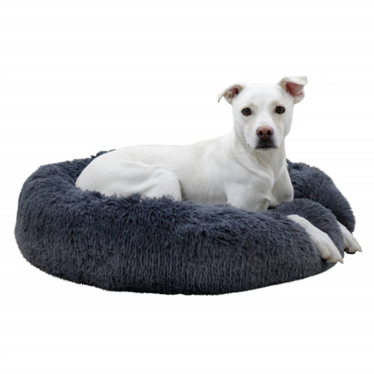 Weißer Hund liegt in einem weichen, grauen Haustierbett. Es ist ein flauschiges, rundes Bett.