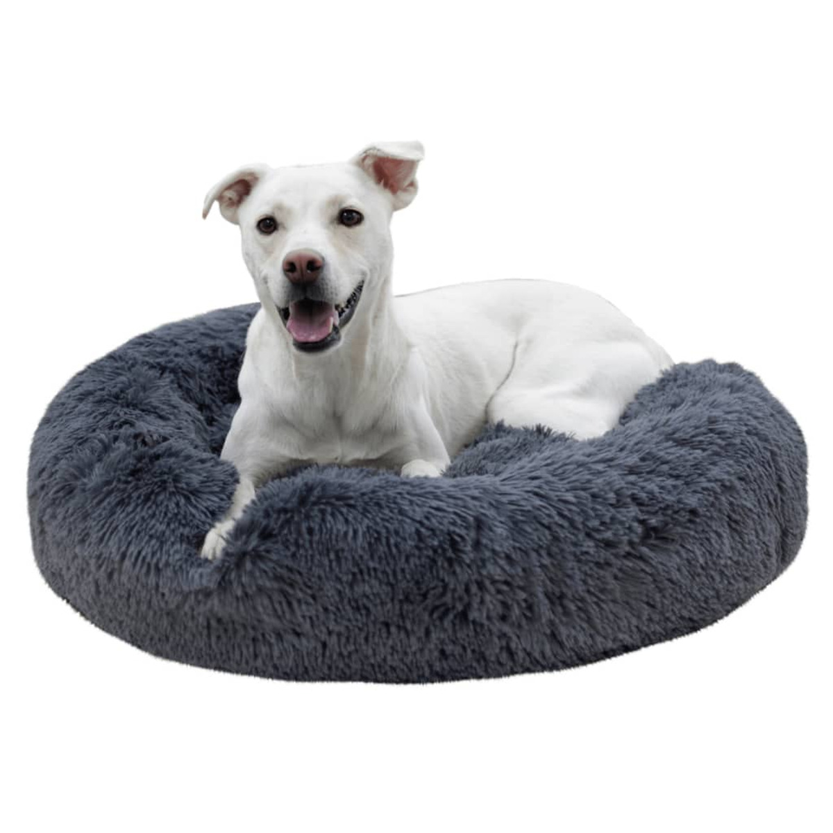 Weißer Hund in einem flauschigen grauen Bett. Der Hund ist glücklich und schaut in die Kamera.