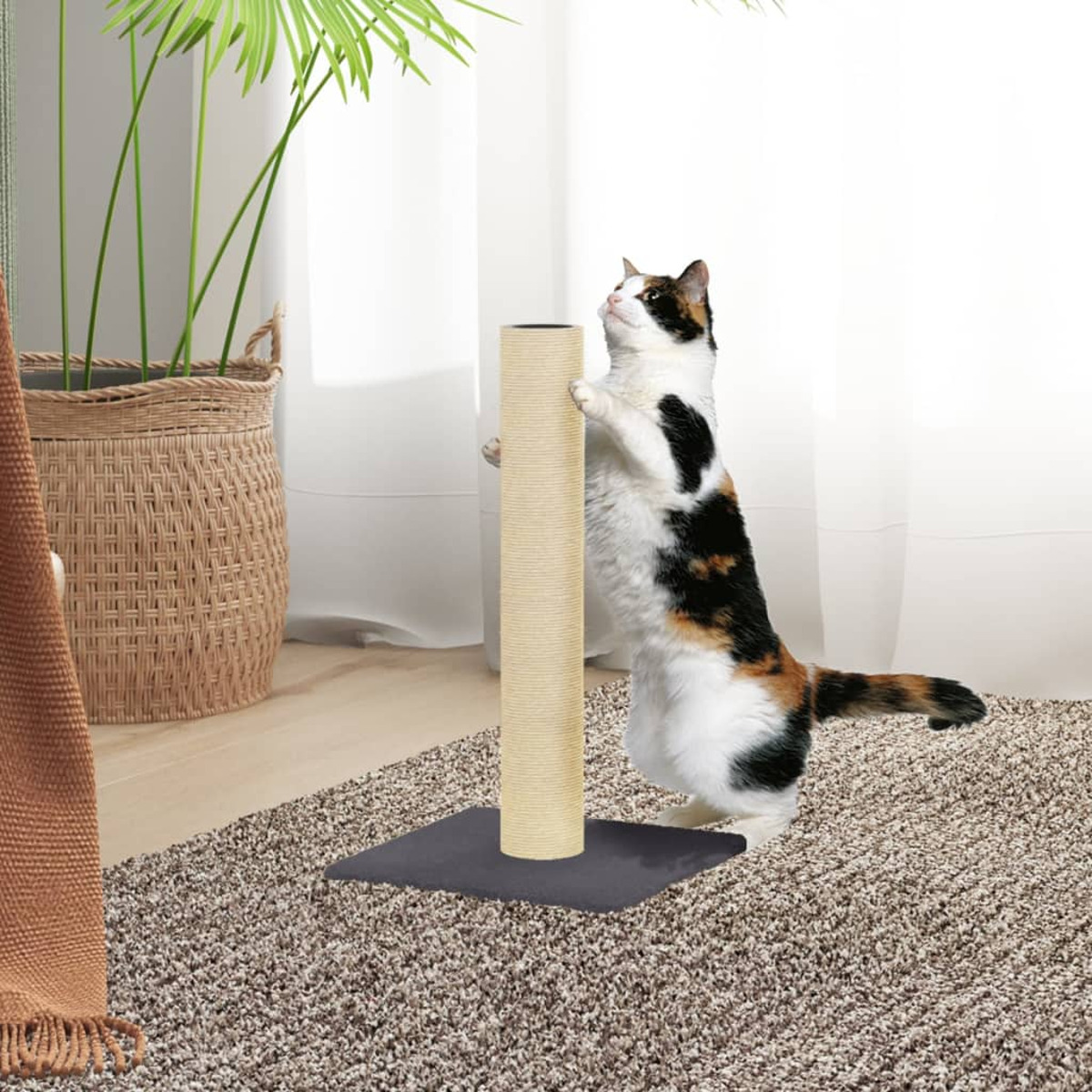 Eine Schildpattkatze steht auf den Hinterbeinen und kratzt an einem hohen, beigen Kratzbaum auf einem Teppich.