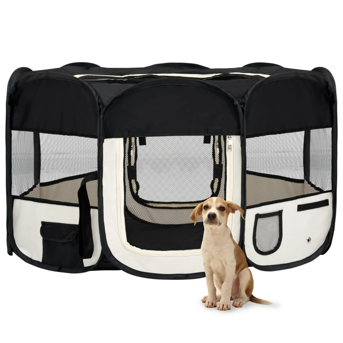 Hund sitzt in der Nähe eines schwarz-weißen Hundeauslaufs.