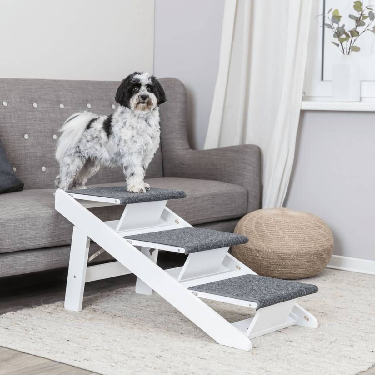Hund auf weißen Klappstufen. Graue Stufen, graues Sofa im Hintergrund.
