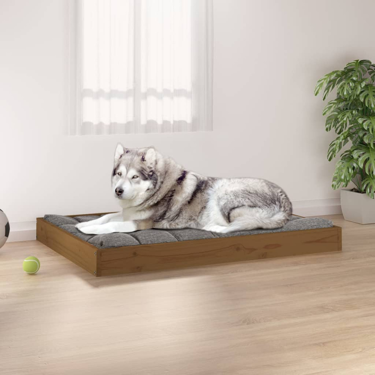 Husky-Hund auf einem Hundebett aus Holz mit grauem Kissen. Tennisball liegt auf dem Boden. Heller Hintergrund.