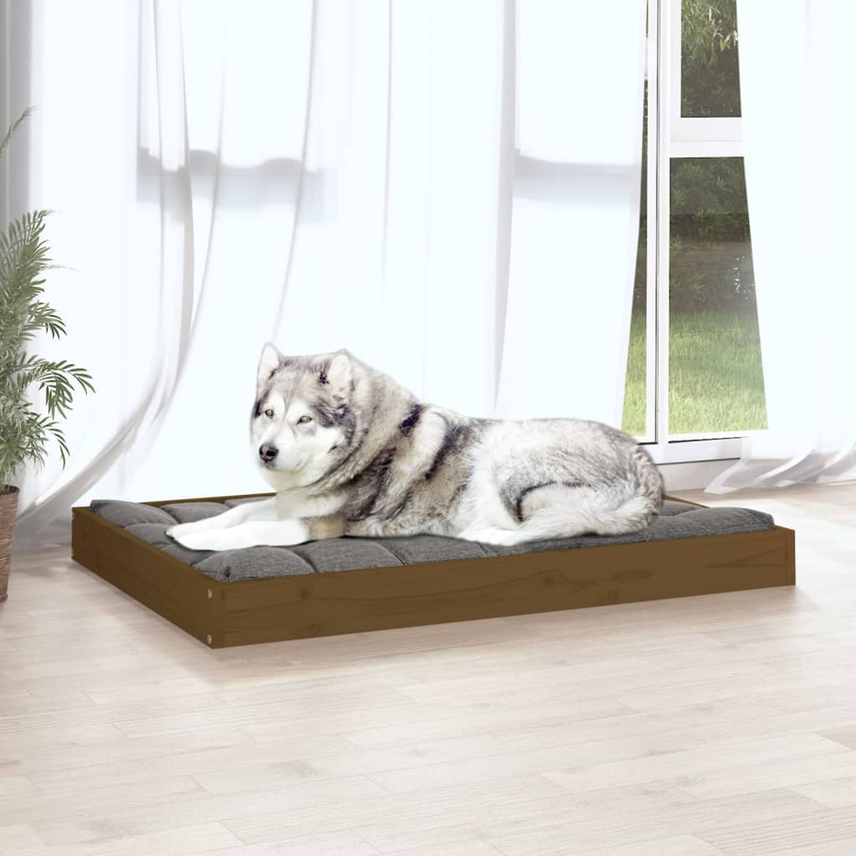 Ein Hund liegt auf einem Hundebett auf einem Holzboden in der Nähe eines Fensters. Der Hund ist ein Husky.