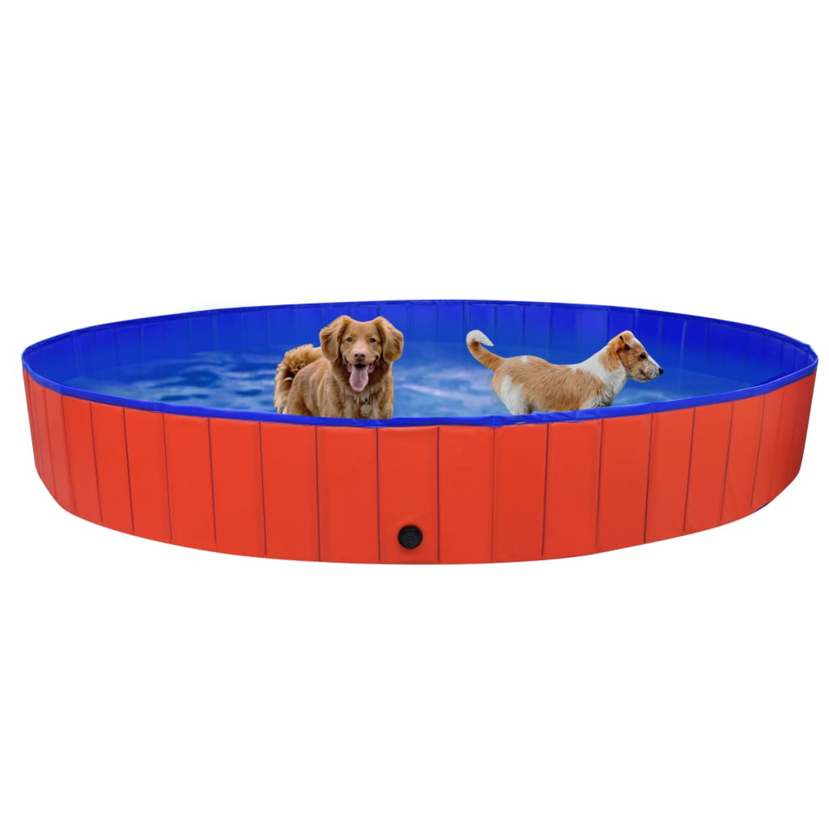 Zwei Hunde in einem blau-orangen Pool. Einer ist braun, der andere ist hellbraun und weiß.