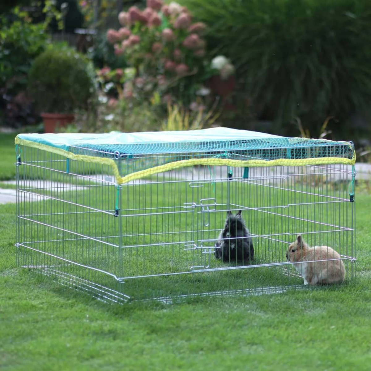 Kaninchen in einem Drahtkäfig. Grünes Netz oben. Grünes Gras im Hintergrund.