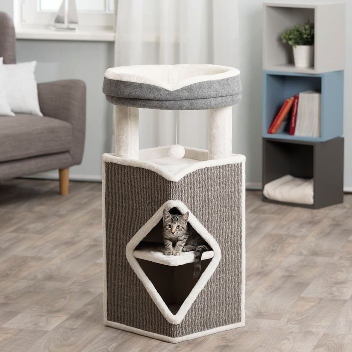 Tiragraffi con un gatto dentro, un pensile a cubo e una pallina.