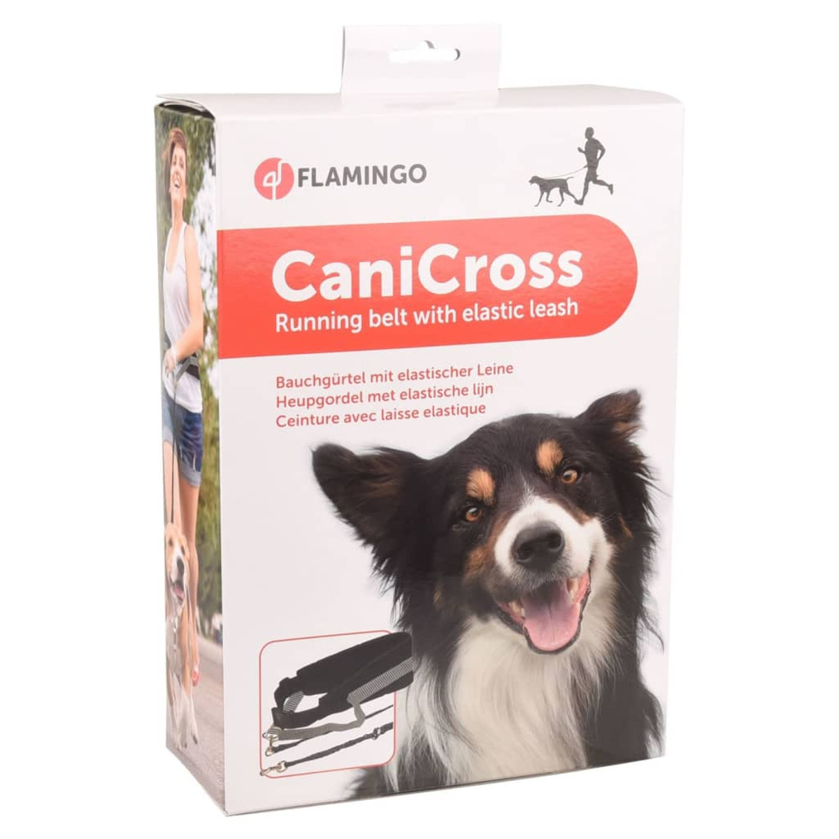 Box mit der Aufschrift 'CaniCross', mit Abbildung einer Person, die mit einem Hund läuft, und Leine.