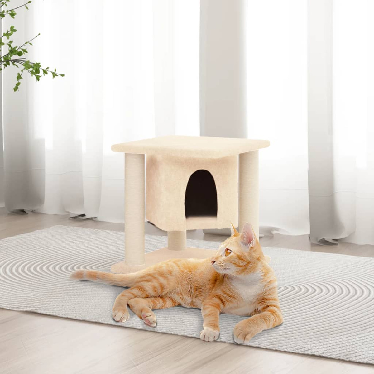 Eine orange Katze ruht auf einem Teppich neben einem Kratzbaum am Fenster.