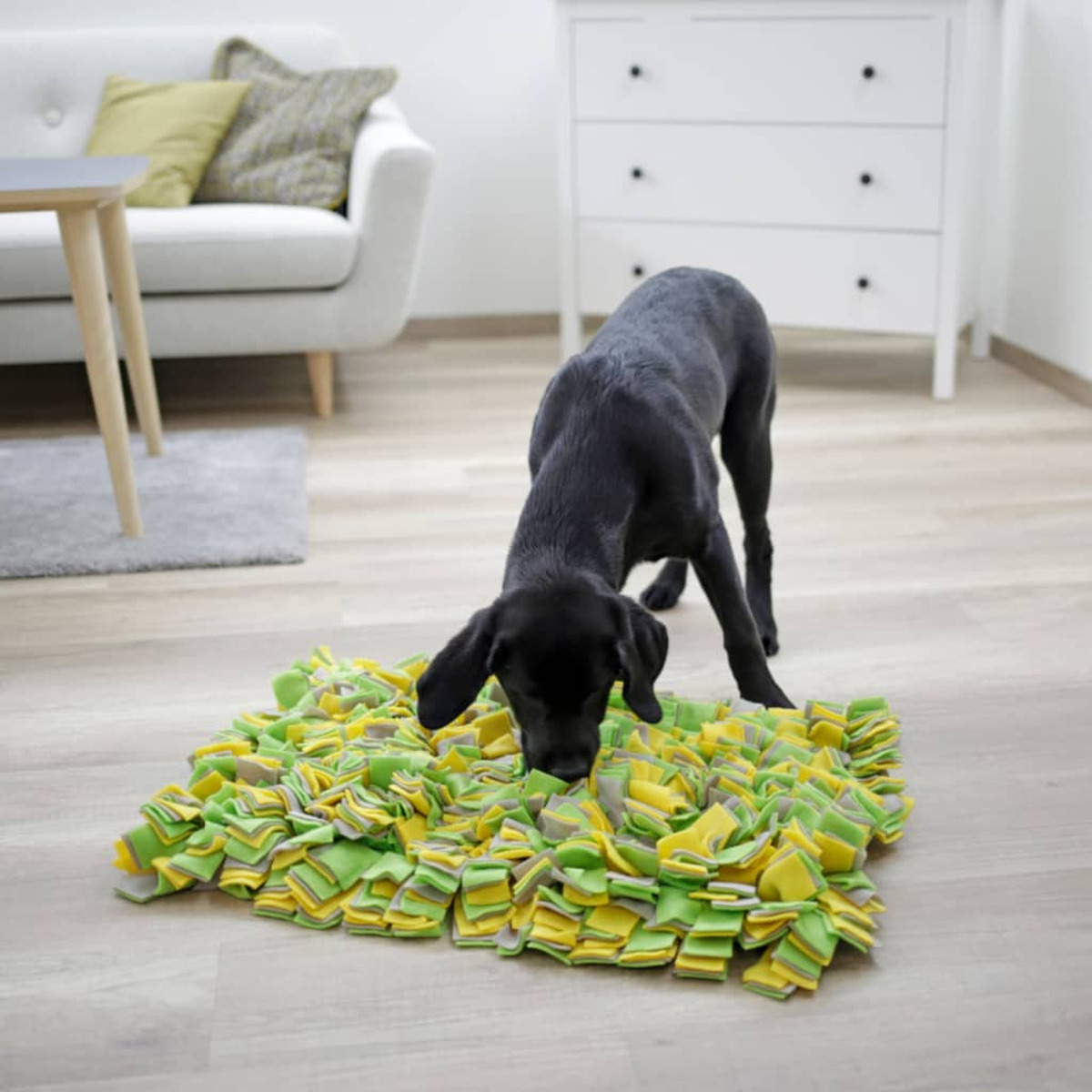 Cane nero che annusa un tappeto giallo e verde. Il tappeto è fatto di strisce di tessuto.