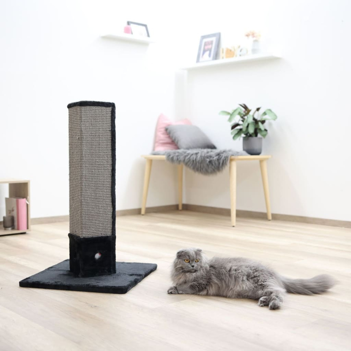 Graue Katze liegt neben Kratzbaum in weißem Raum. Bank mit Deko im Hintergrund.