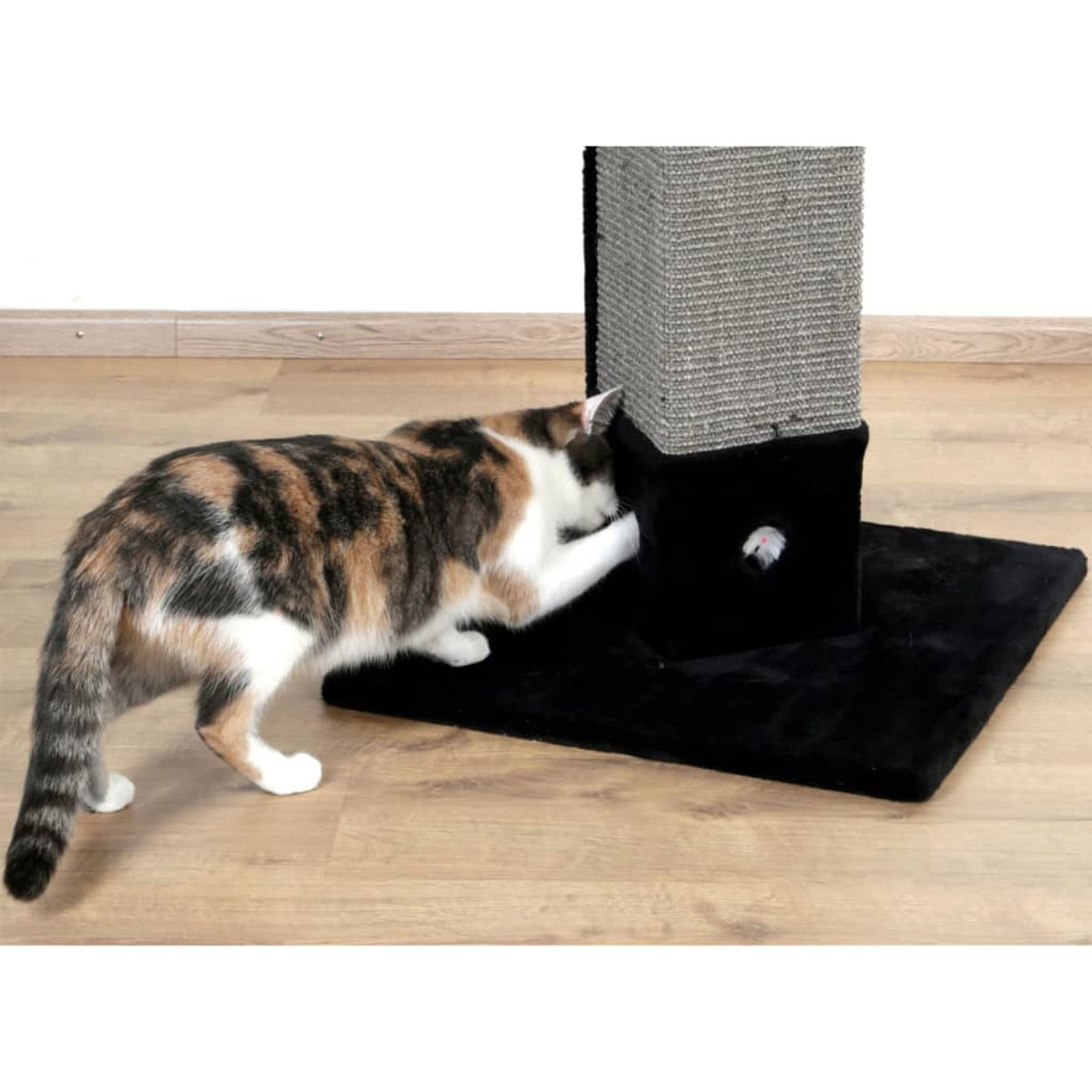 Schildpattkatze spielt mit einem Kratzbaumspielzeug.