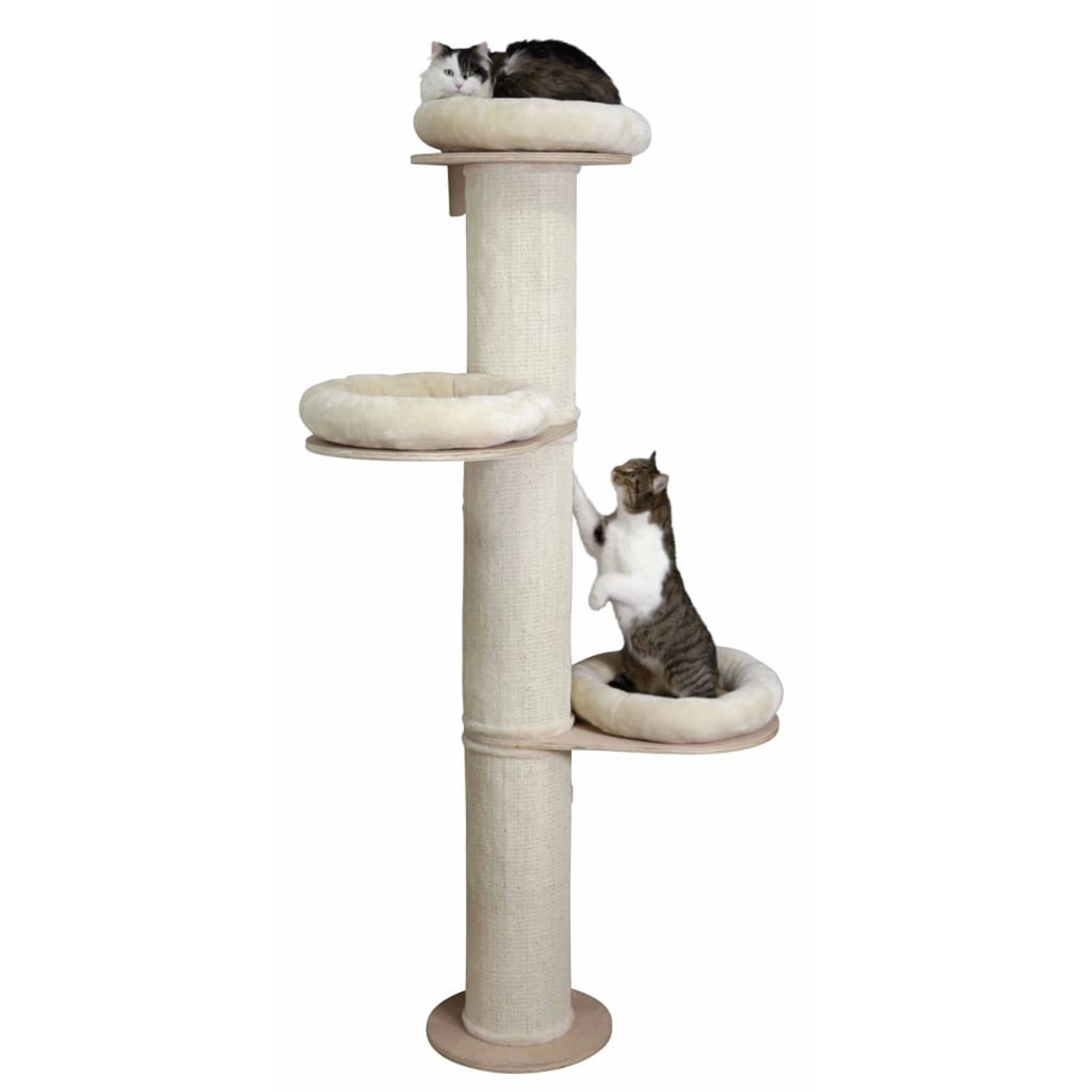 Ein Katzenbaum mit drei Ebenen. Zwei Katzen sind oben, eine klettert hoch.