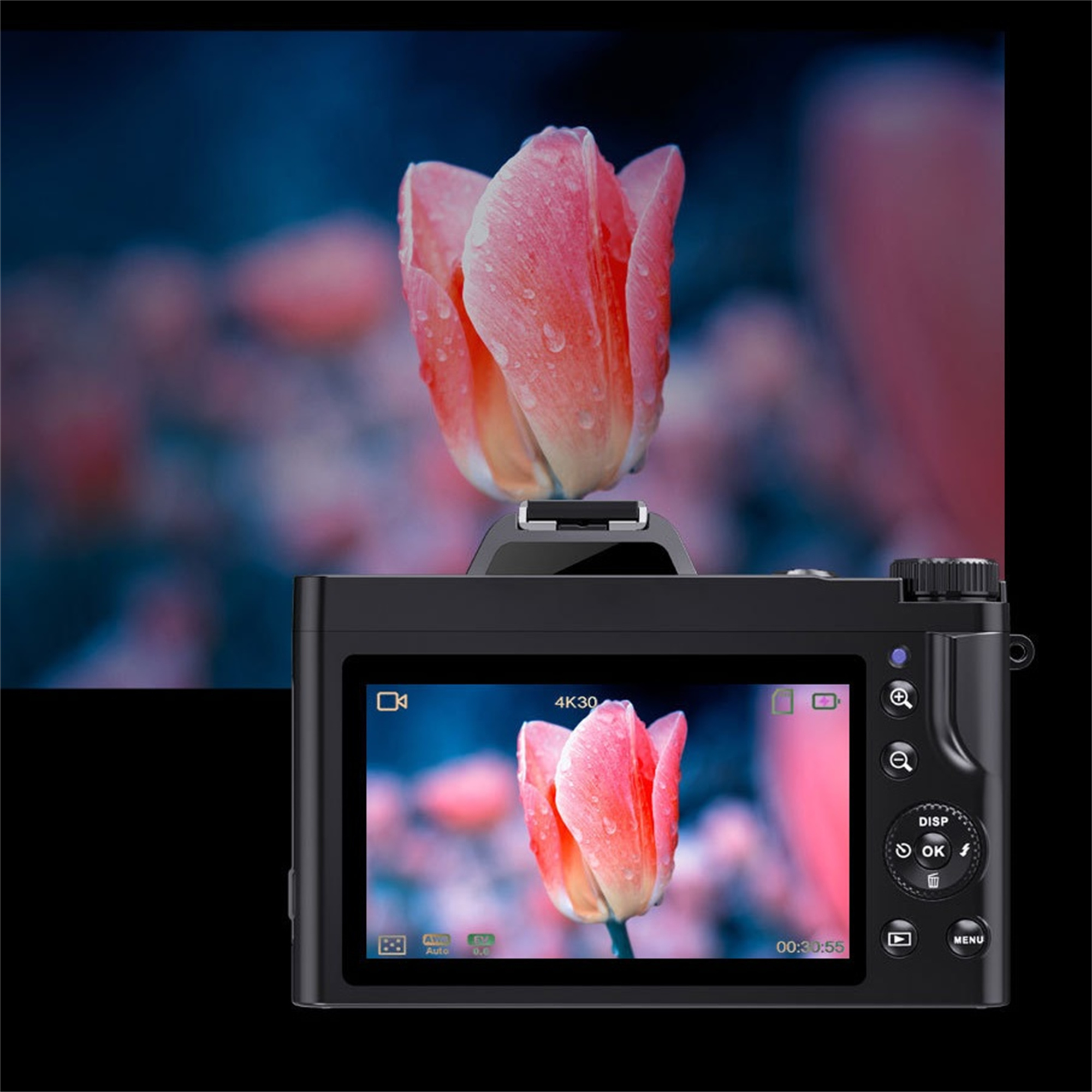 Kamera zeigt eine rosa Tulpe. Der Hintergrund ist verschwommen. Die Kamera ist schwarz und zeigt die Tulpe.