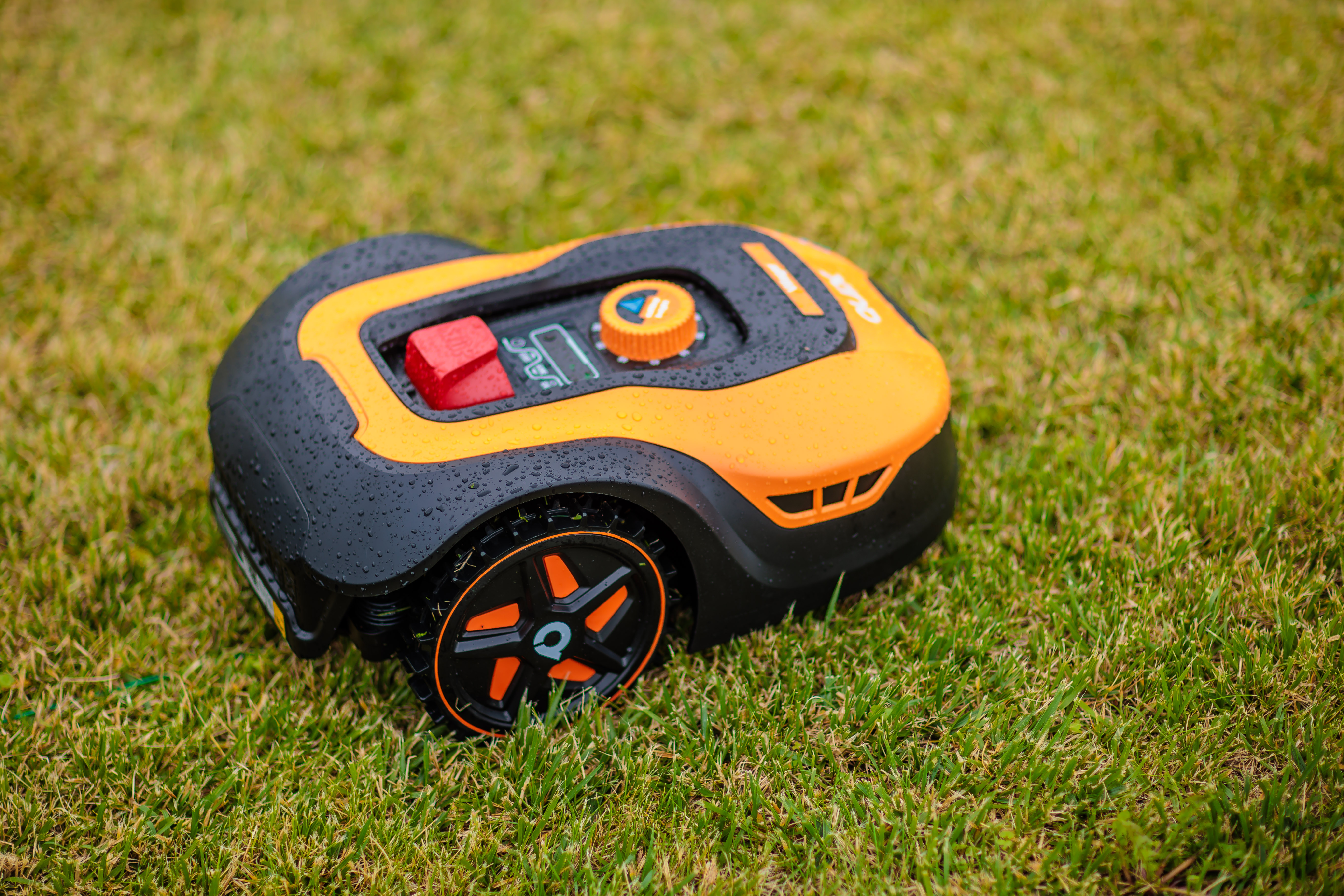 Orangener und schwarzer Mähroboter auf einem grünen Rasen, Wassertropfen sichtbar.