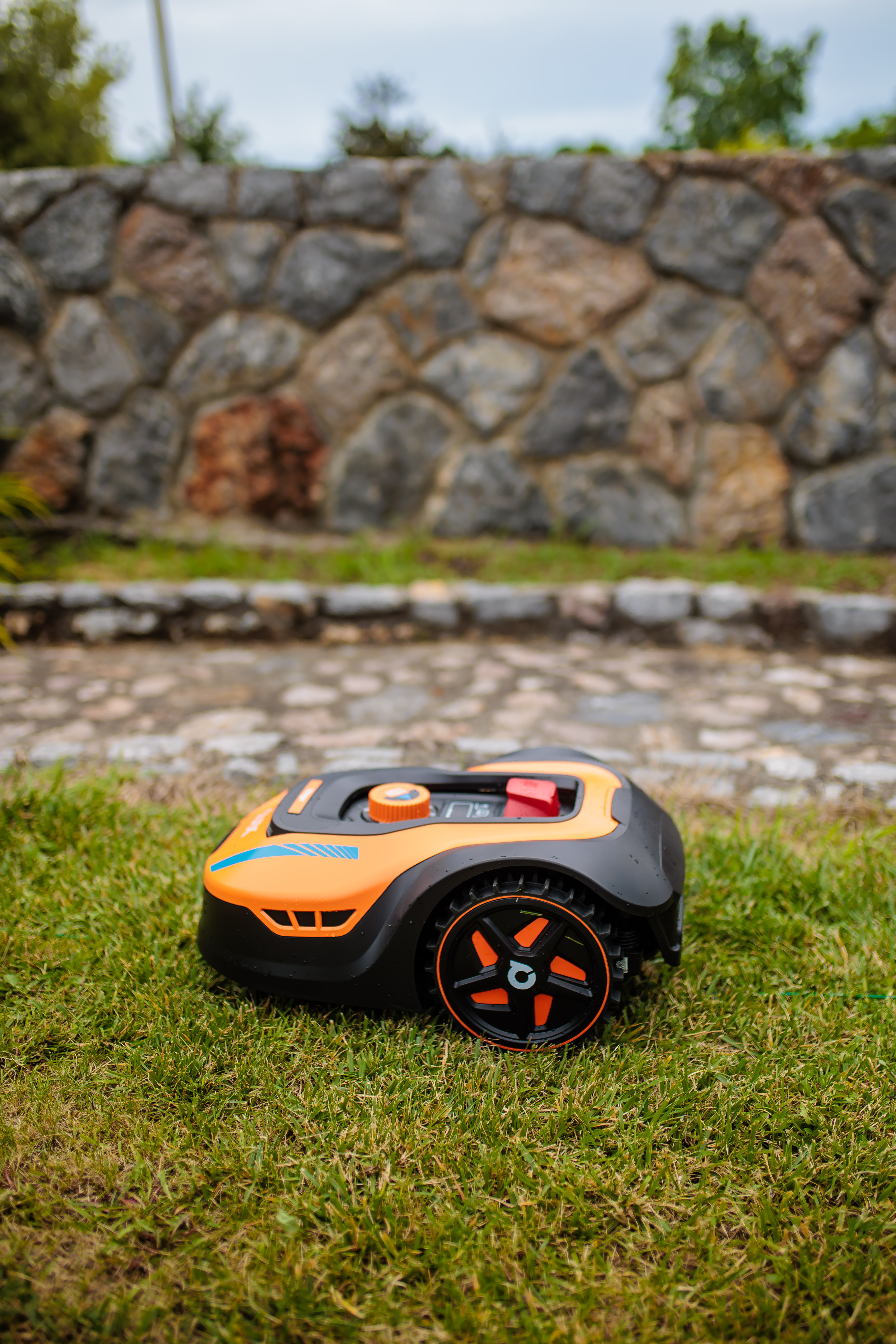 Orangener und schwarzer Roboter-Rasenmäher auf grünem Gras, im Hintergrund eine Steinmauer.