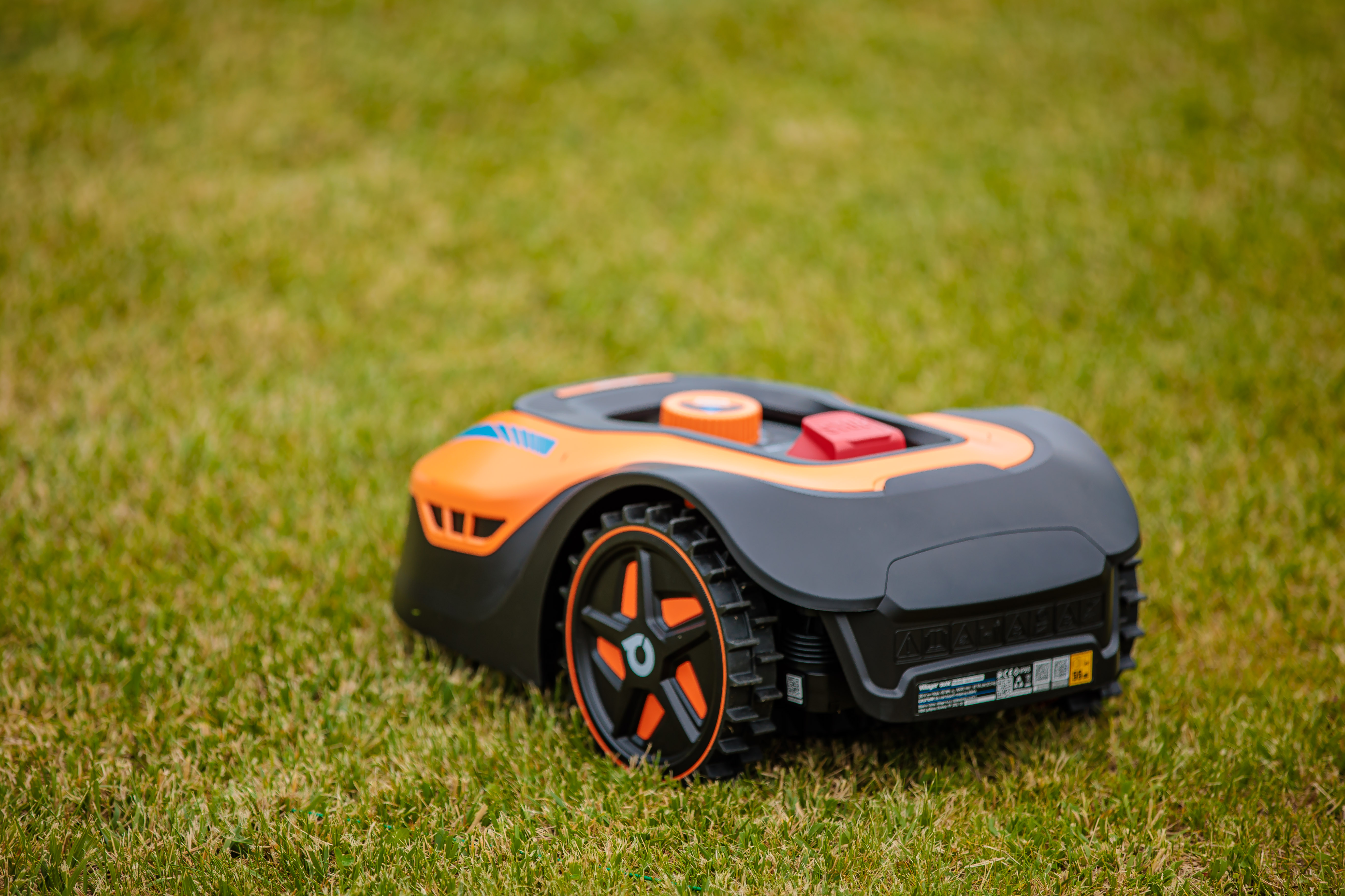 Orangener und schwarzer Roboterrasenmäher auf grünem Gras. Nahaufnahme, sonniger Tag.
