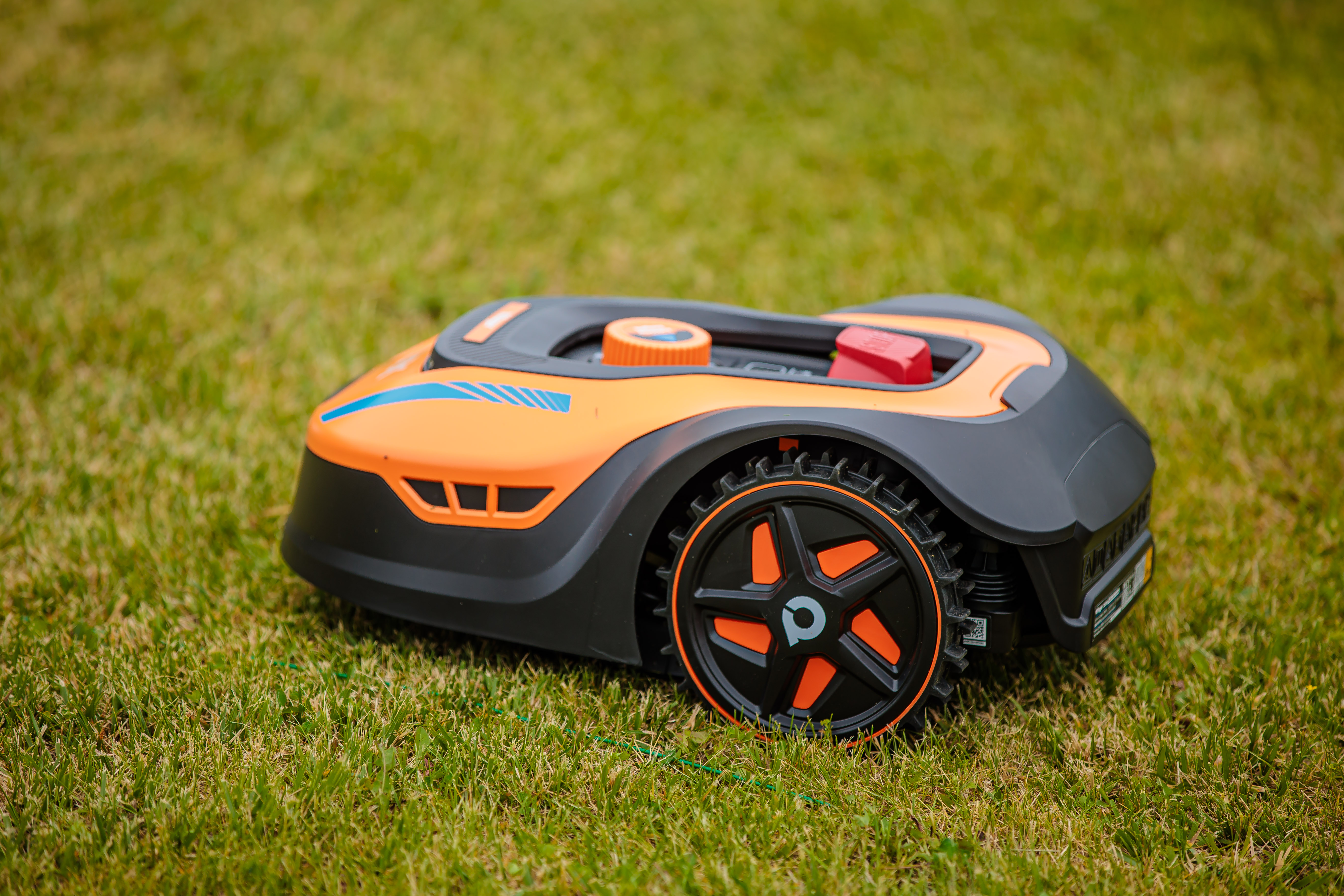 Orangener und schwarzer Rasenroboter auf grünem Gras, verschwommener Hintergrund.