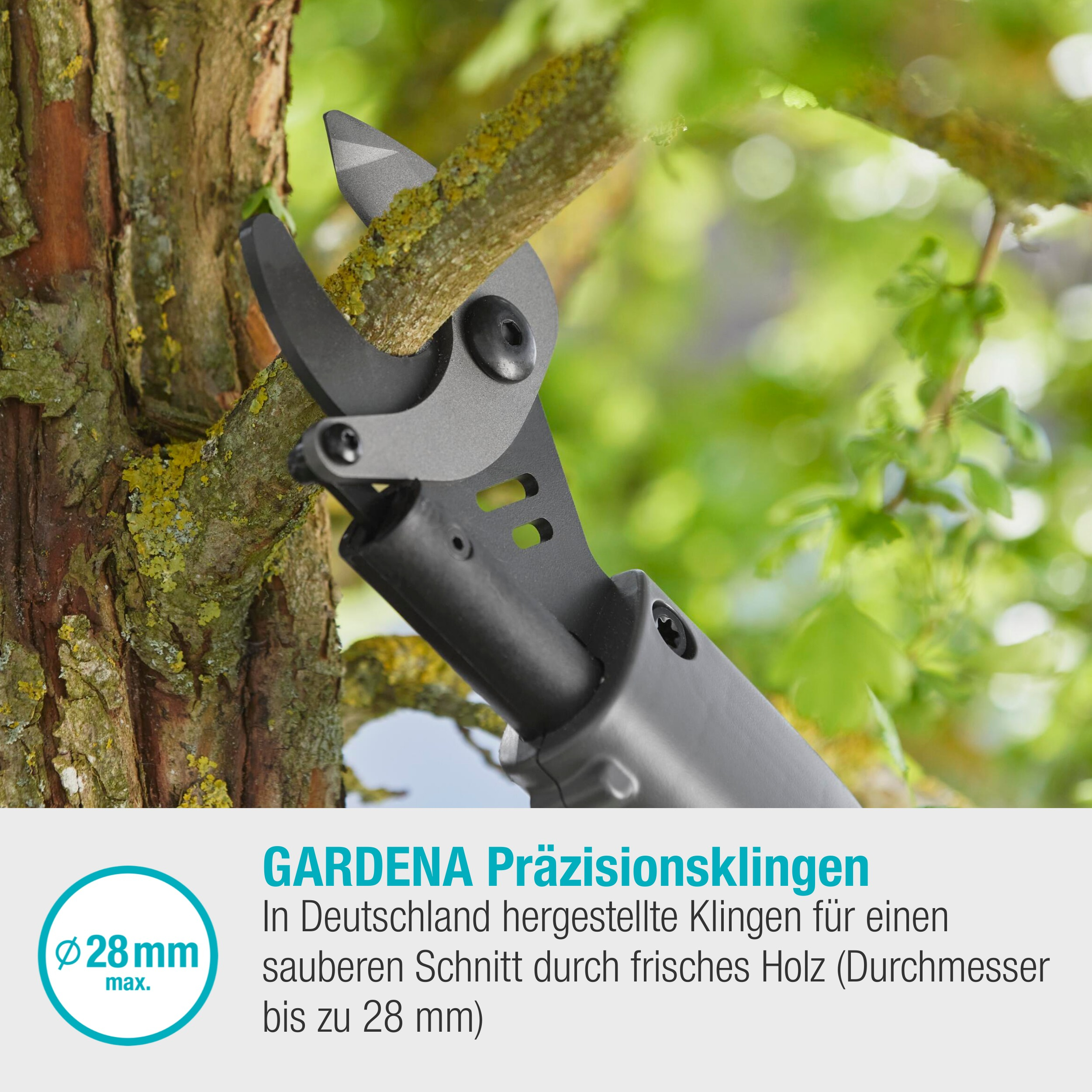 Eine Gartenschere schneidet einen Ast ab. Die Schere ist schwarz und grau.