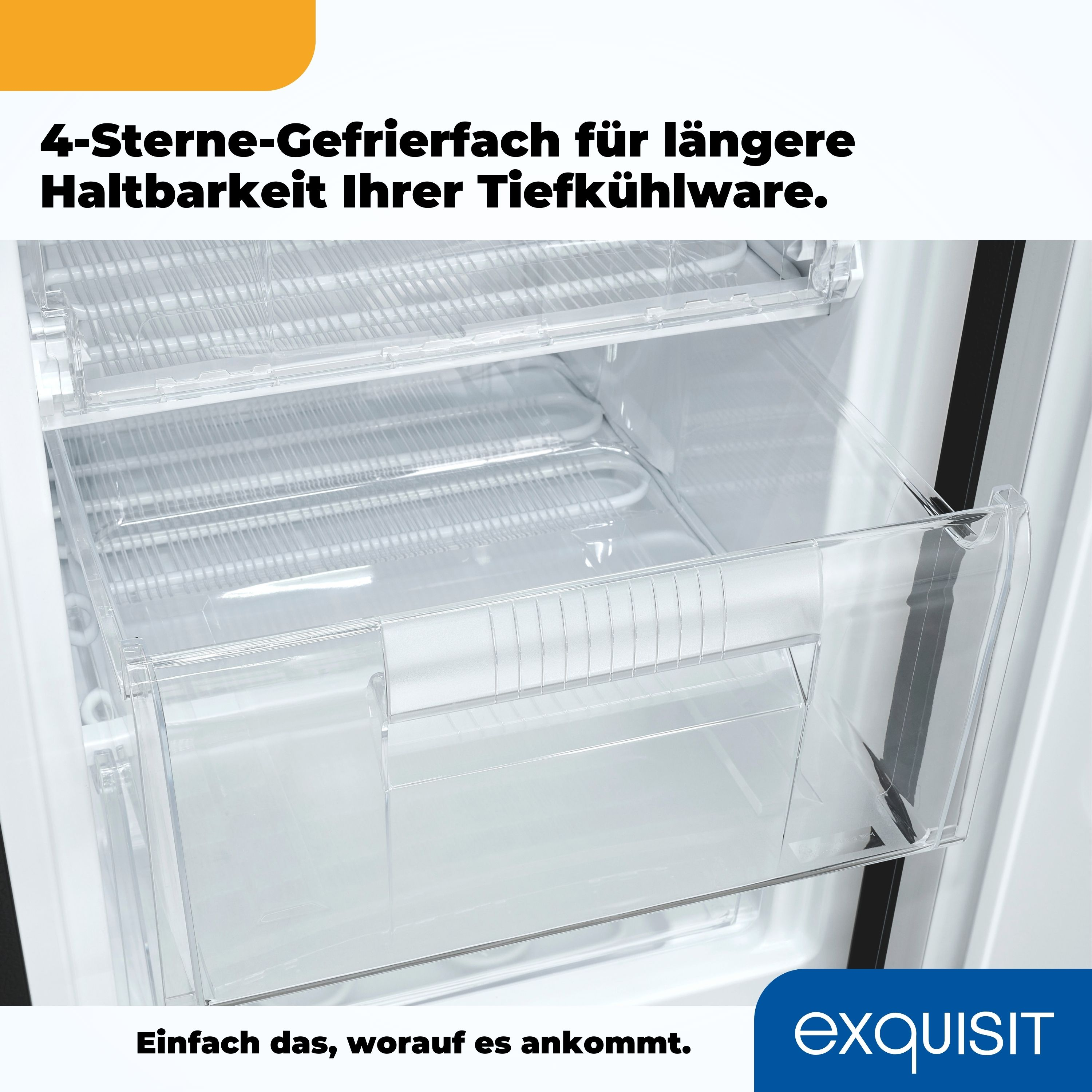 Primer plano del interior de un frigorífico con un cajón de plástico transparente. El fondo es el interior del frigorífico.